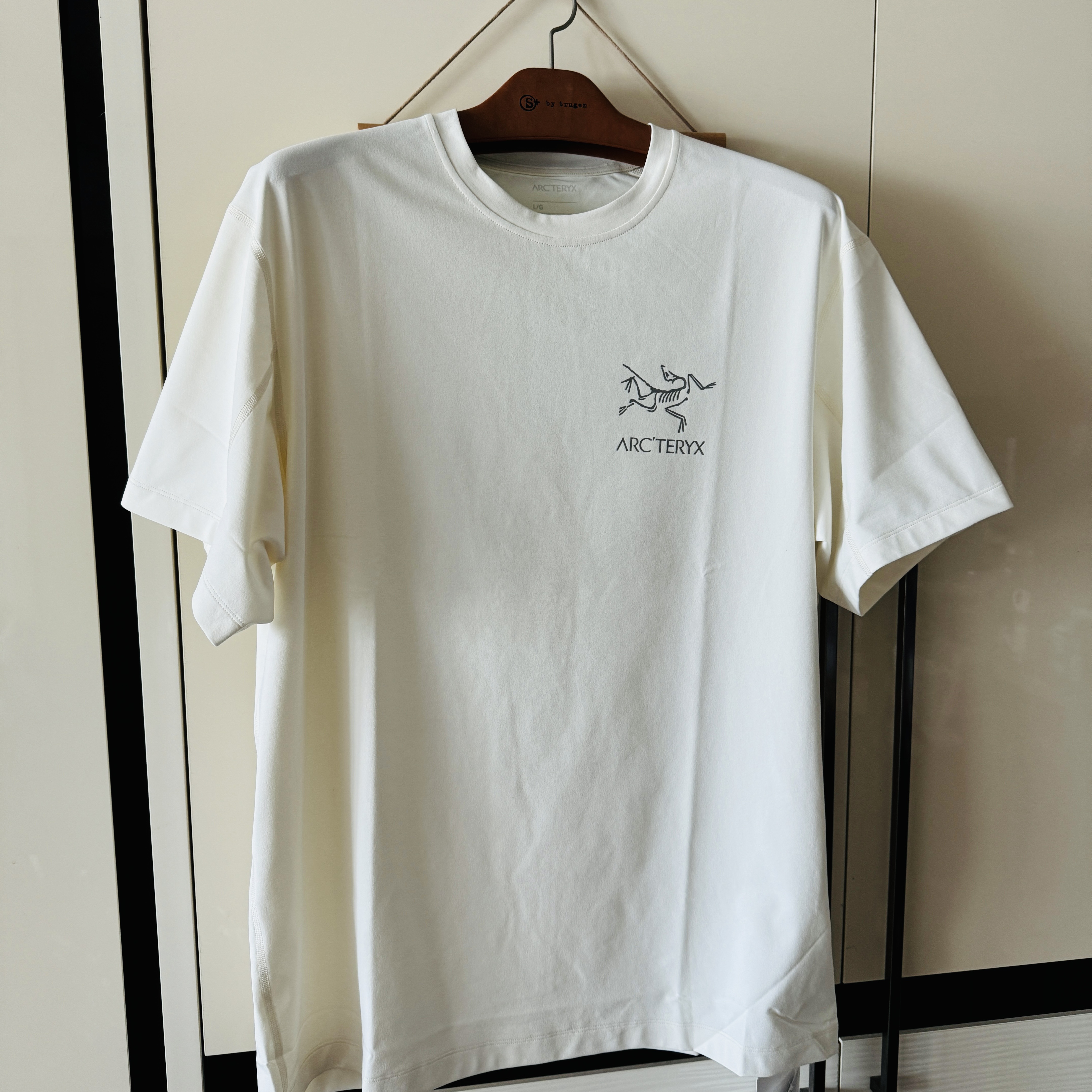 Arc'teryx System A Solarium SS T-Shirt Greige Solid 착용 스타일 - 1