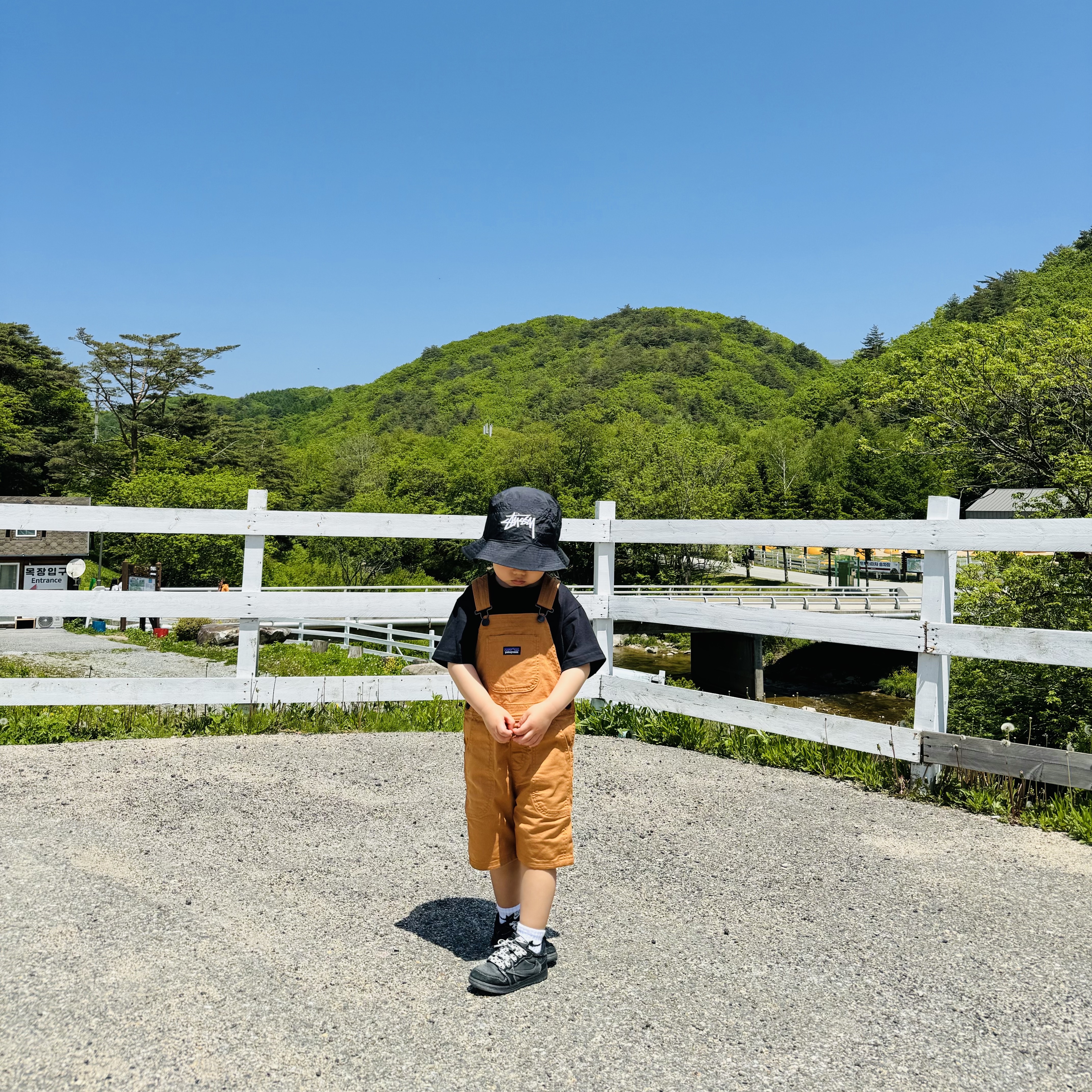 Nike x Stussy Bucket Hat Black, (Baby) Patagonia Stand Up Shortalls Umber Brown 착용 스타일 - 1