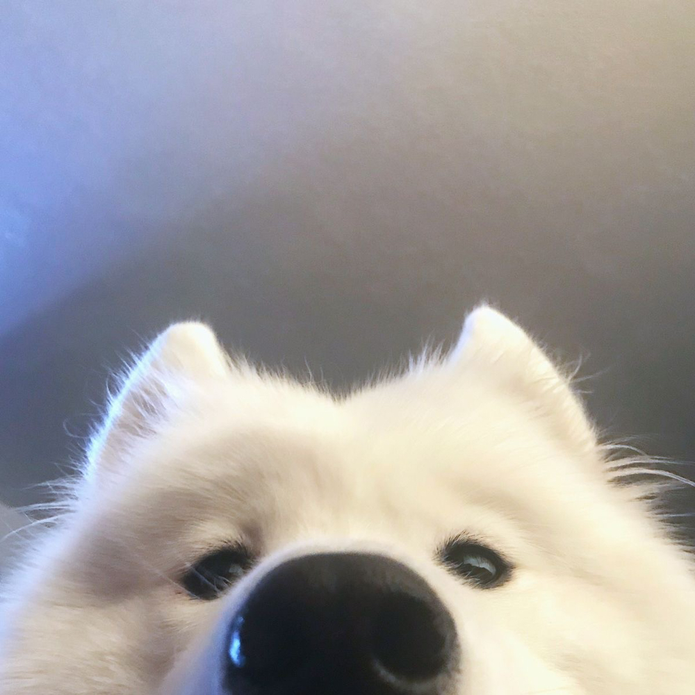 관심 유저 프로필 이미지