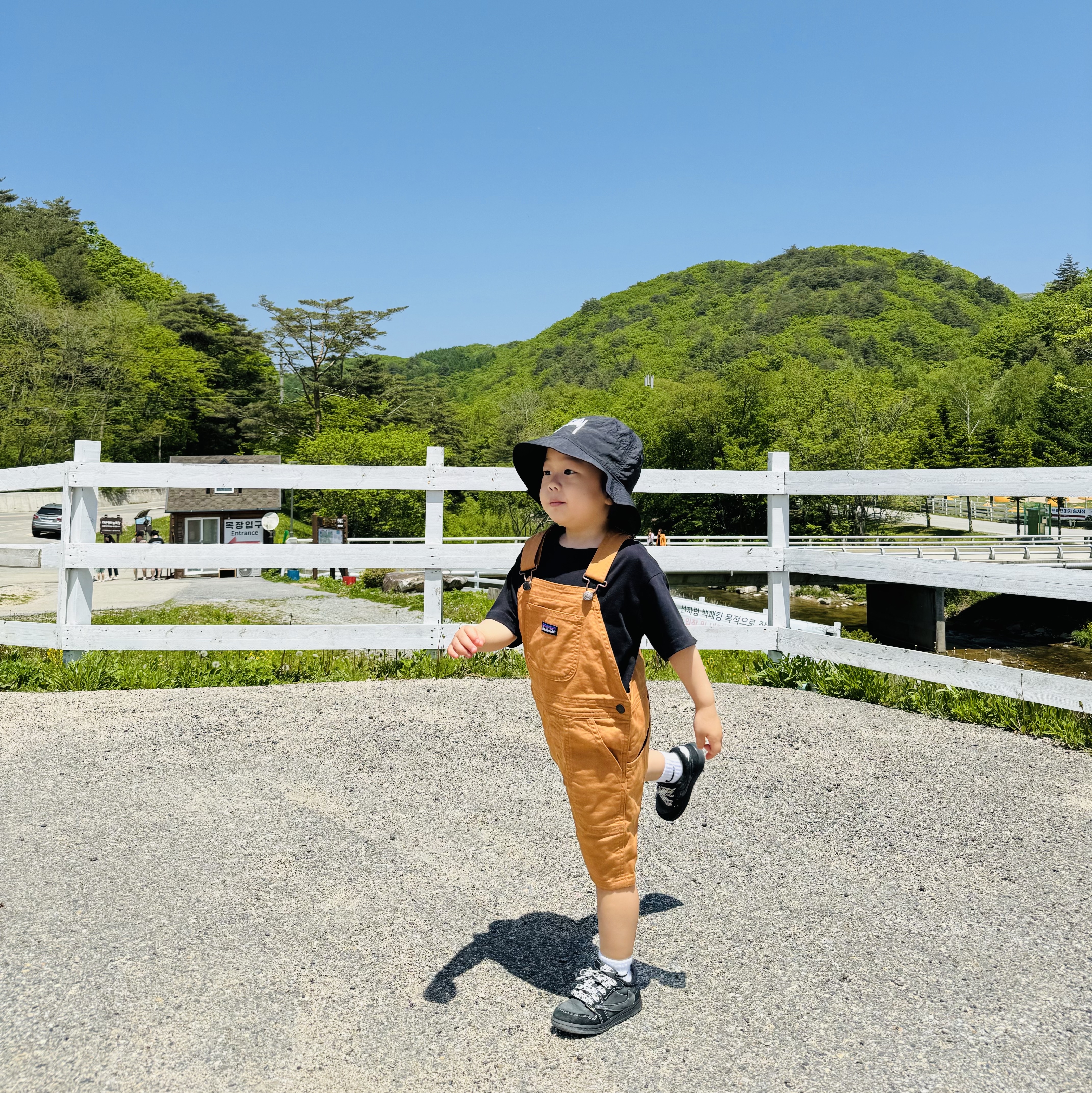 Nike x Stussy Bucket Hat Black, (Baby) Patagonia Stand Up Shortalls Umber Brown 착용 스타일 - 4