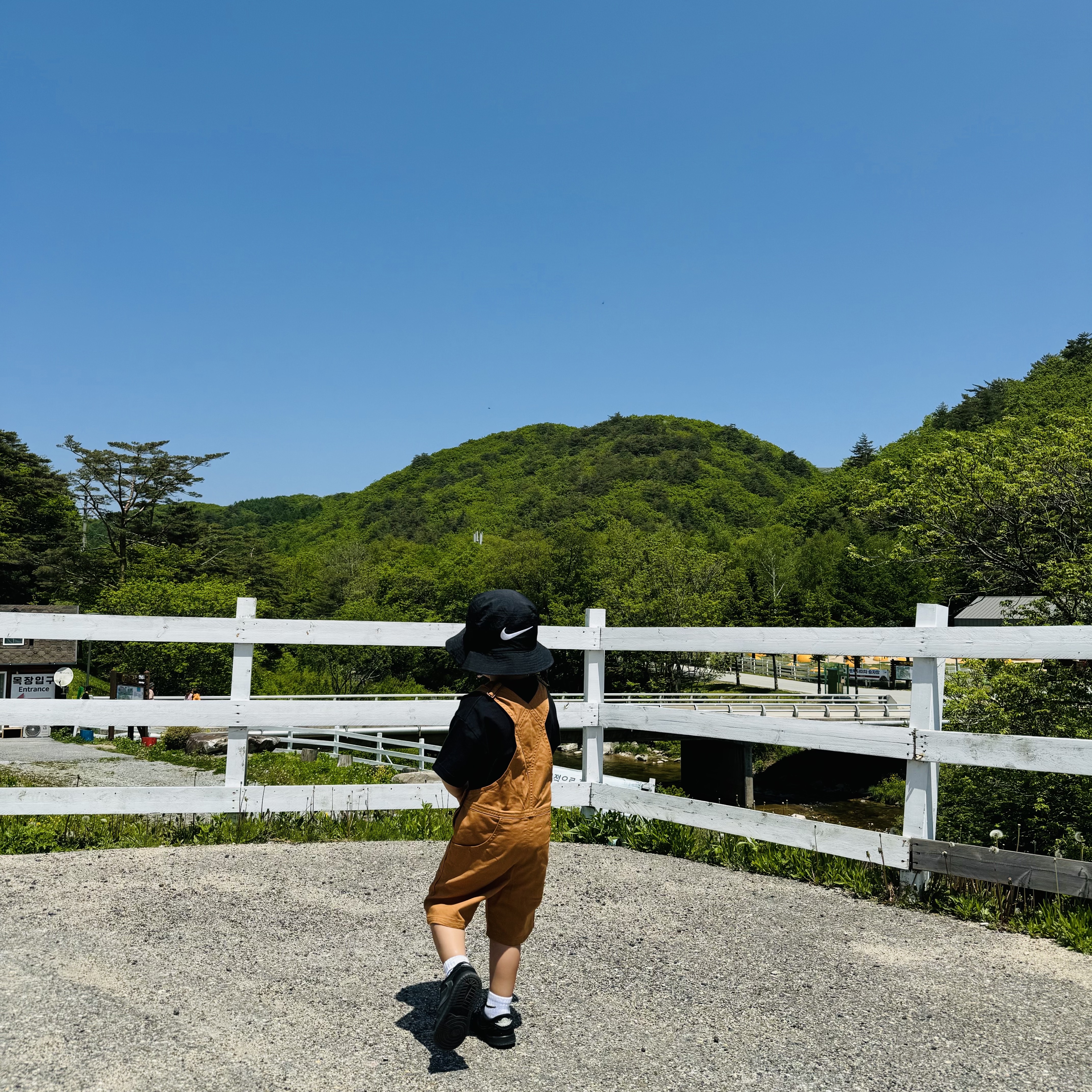 Nike x Stussy Bucket Hat Black, (Baby) Patagonia Stand Up Shortalls Umber Brown 착용 스타일 - 5