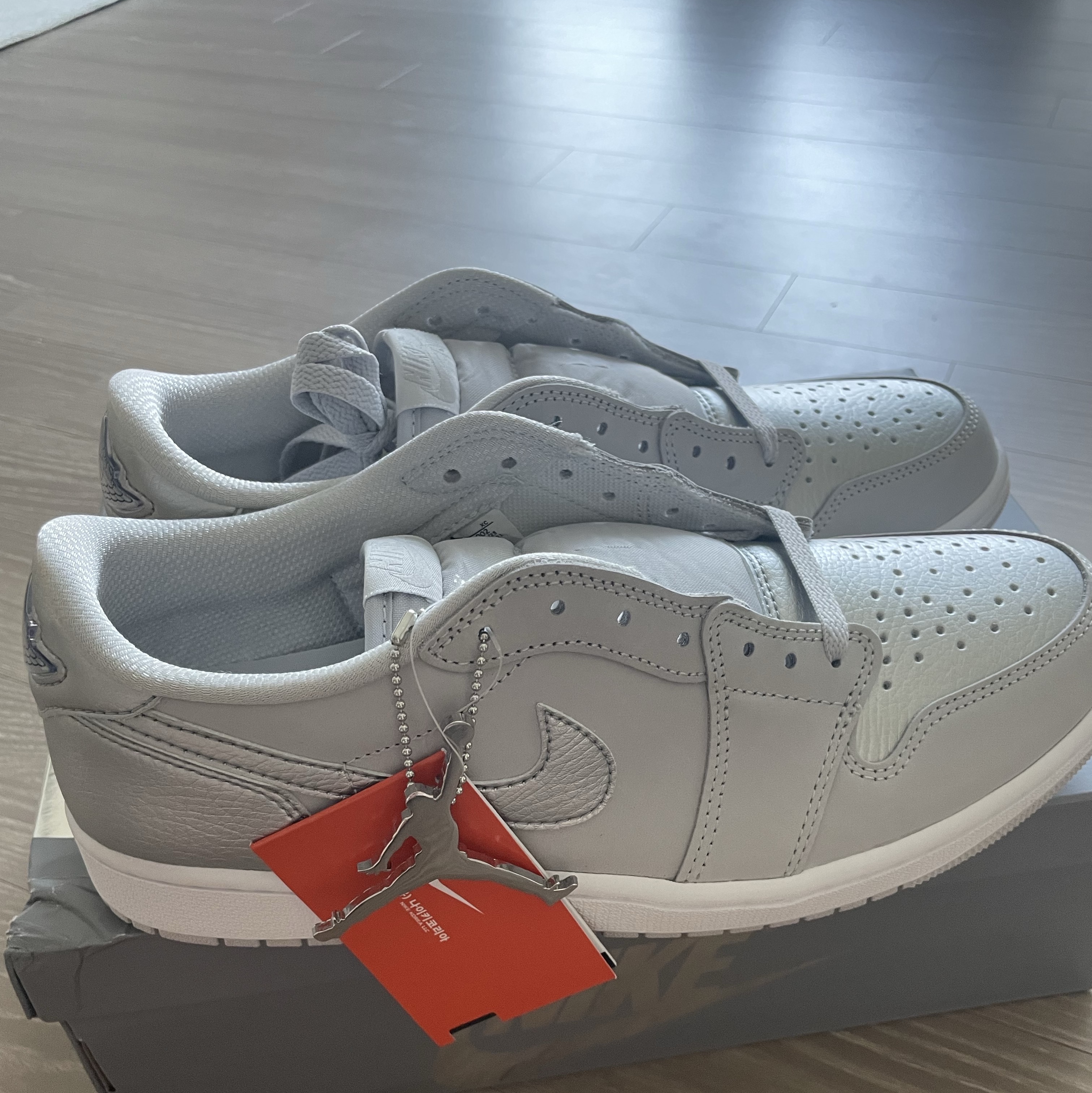 Jordan 1 Retro Low OG Silver 착용 스타일 - 2