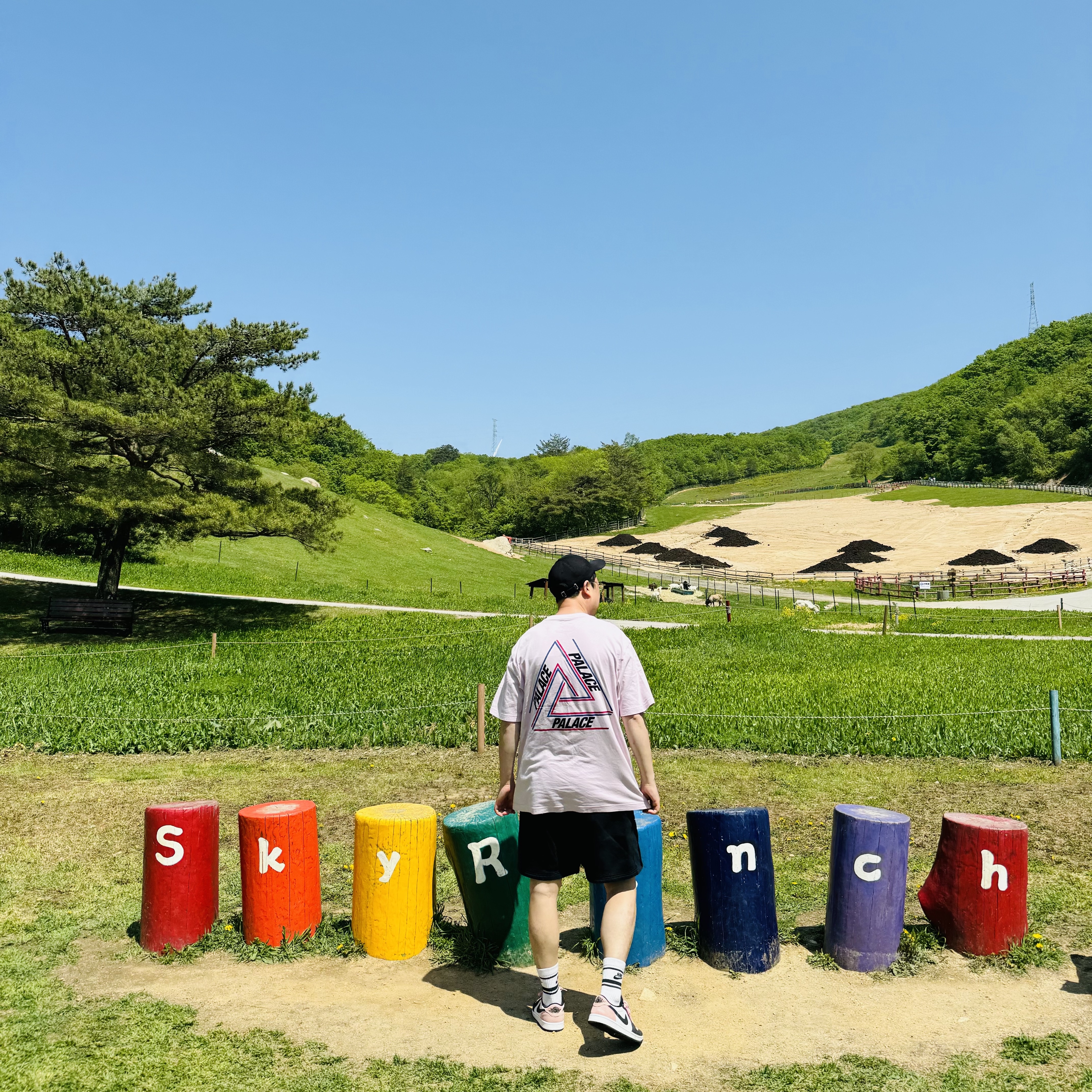 Nike NRG Solo Swoosh Fleece Shorts Black - Asia, Jordan 1 Retro Low OG Bleached Coral 착용 스타일 - 3
