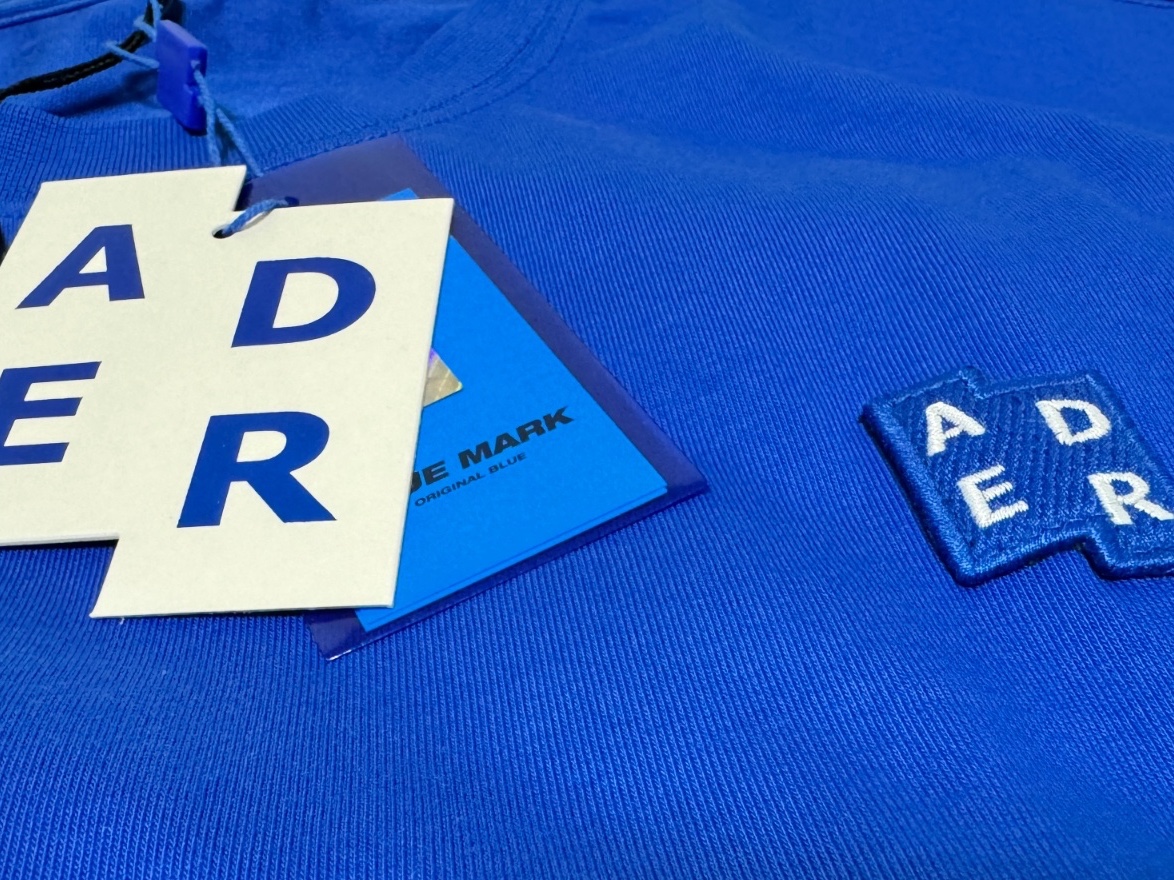Ader Error Sig; TRS/BL Tag T-Shirt 01 Z-Blue 착용 스타일