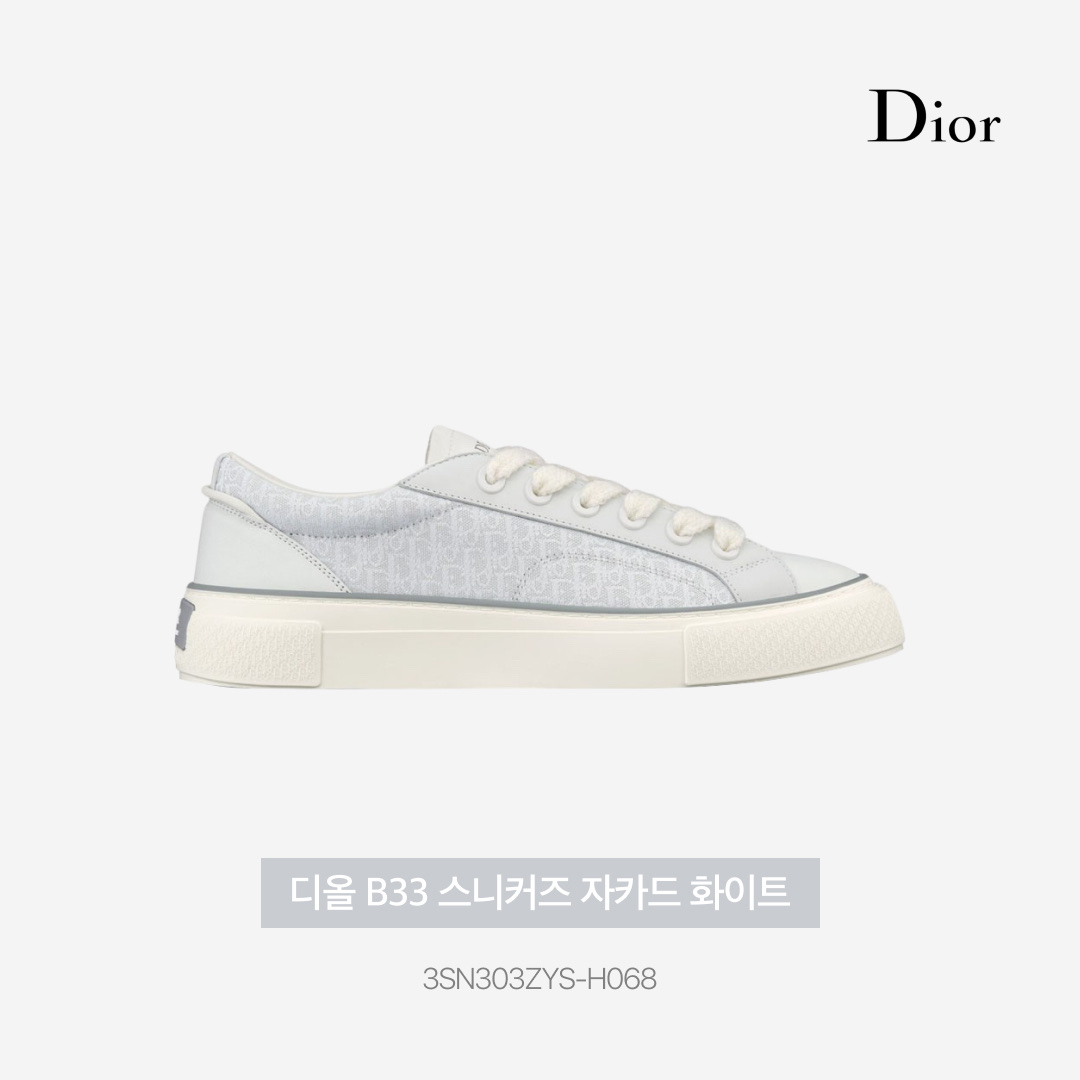 Dior B33 Sneakers Smooth Calfskin and Dior Oblique Jacquard White 착용 스타일 - 3