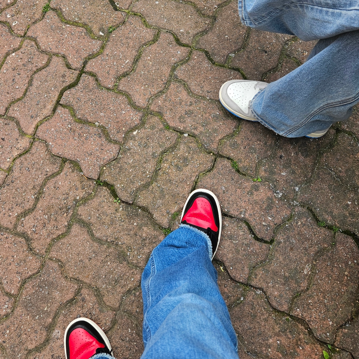 Nike Dunk Low Sail University Blue, (W) Jordan 1 Low Black Gym Red 착용 스타일