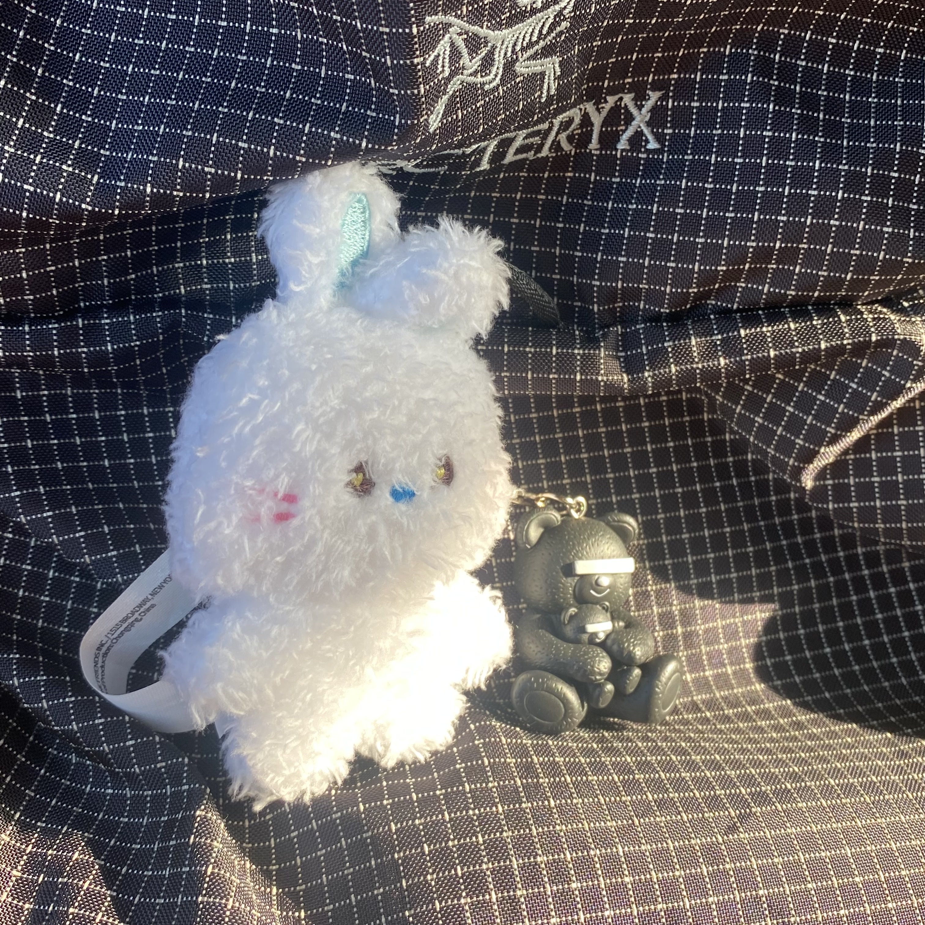 Arc'teryx Konseal 15 Backpack Black, NewJeans Bunini Doll Keyring White 착용 스타일