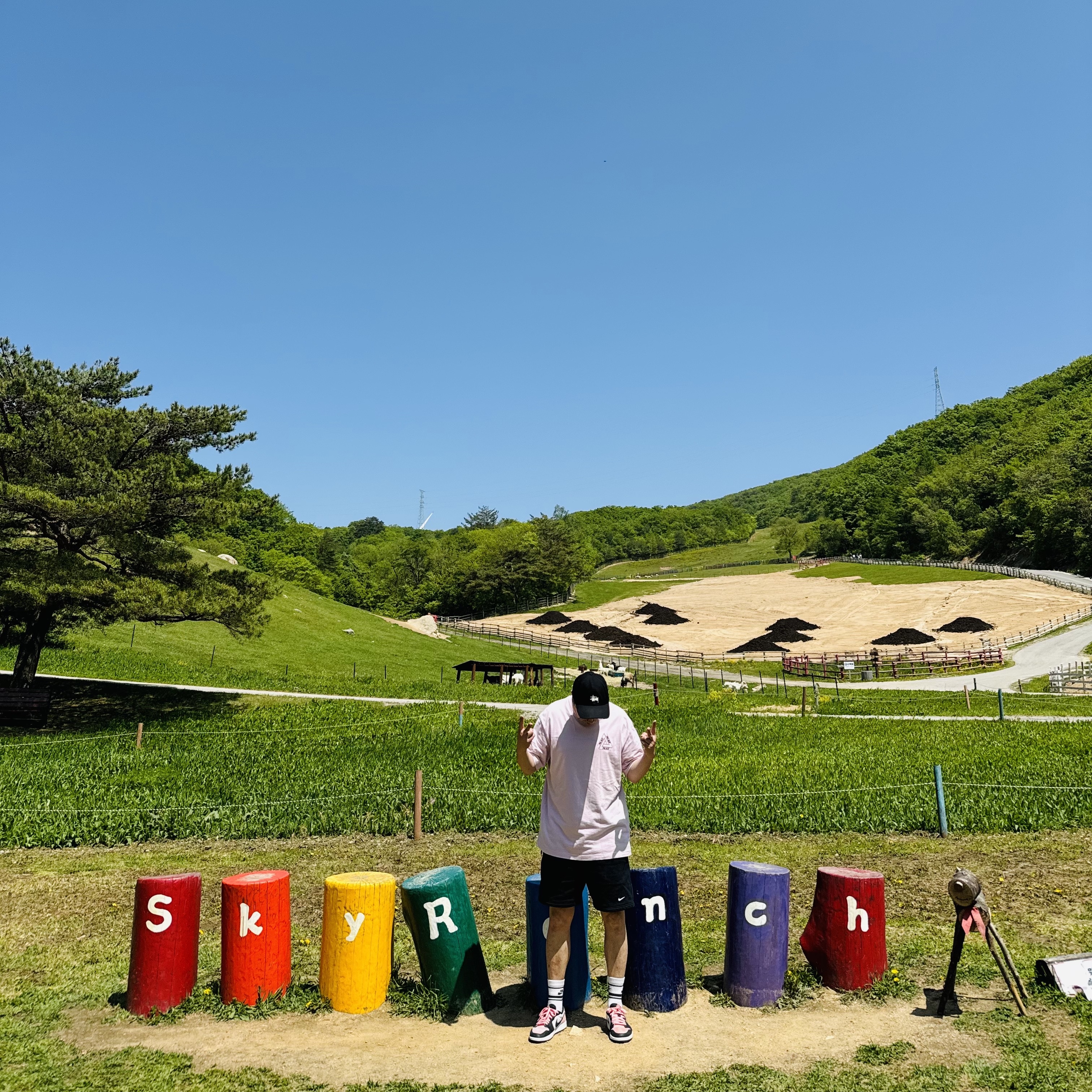 Nike NRG Solo Swoosh Fleece Shorts Black - Asia, Jordan 1 Retro Low OG Bleached Coral 착용 스타일 - 1