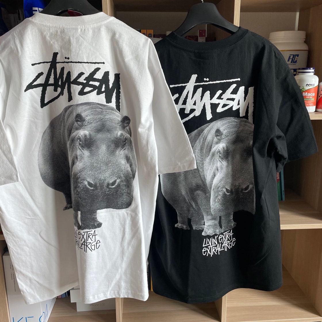 Stussy Livin' Large T STYLE | KREAM
