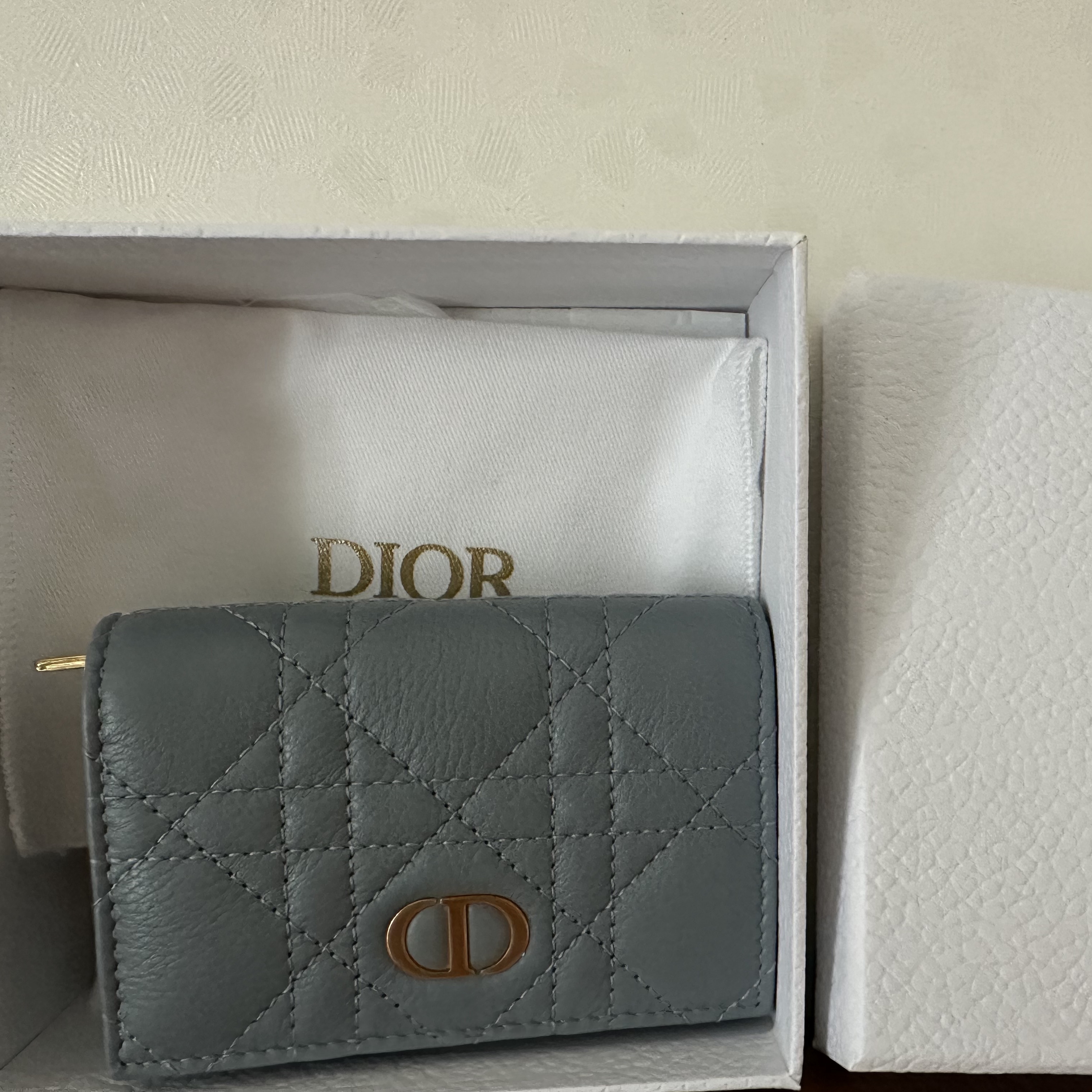 Dior Caro XS Wallet Supple Cannage Calfskin Cloud Blue 착용 스타일 - 2