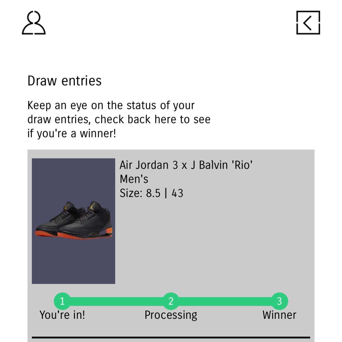 Jordan 3 x J Balvin Retro SP Rio 착용 스타일