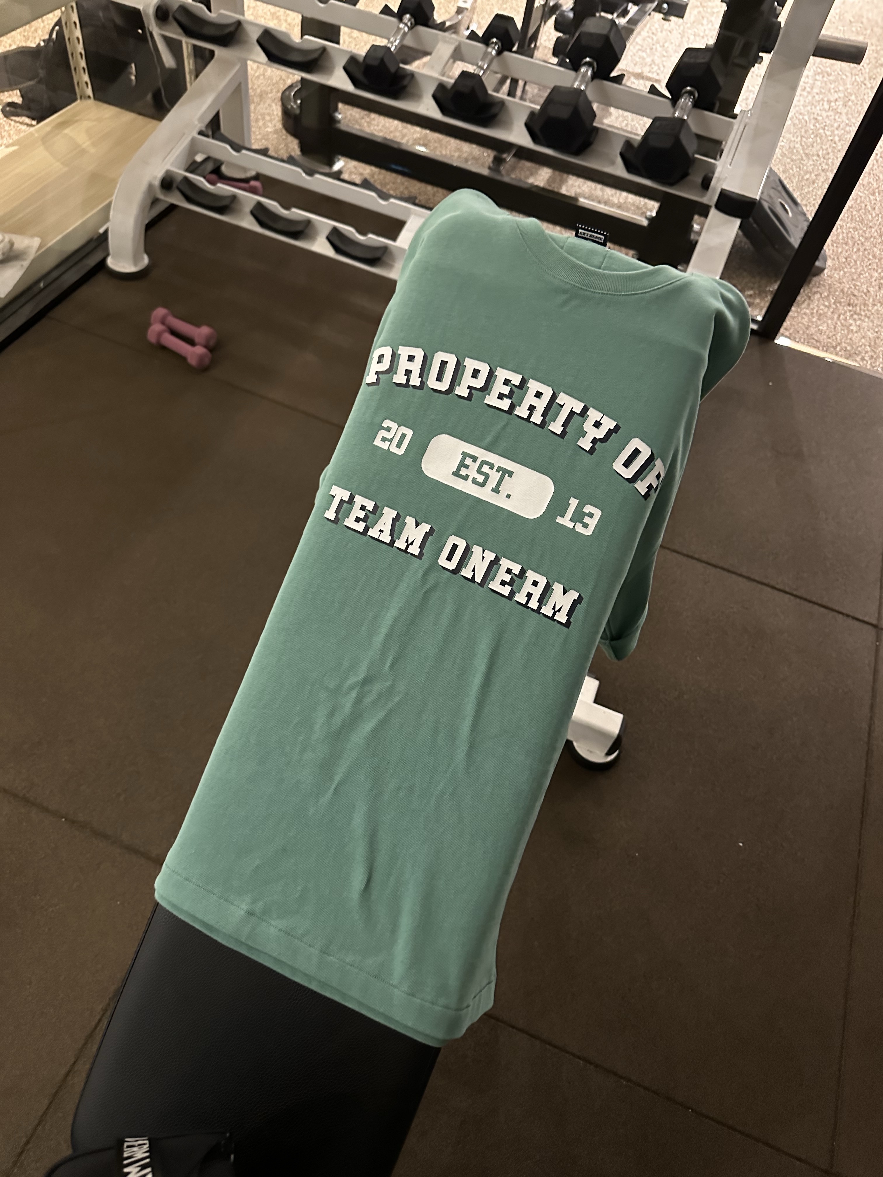 ONERM Team ONERM Overfit T-Shirt Light Khaki 착용 스타일 - 6