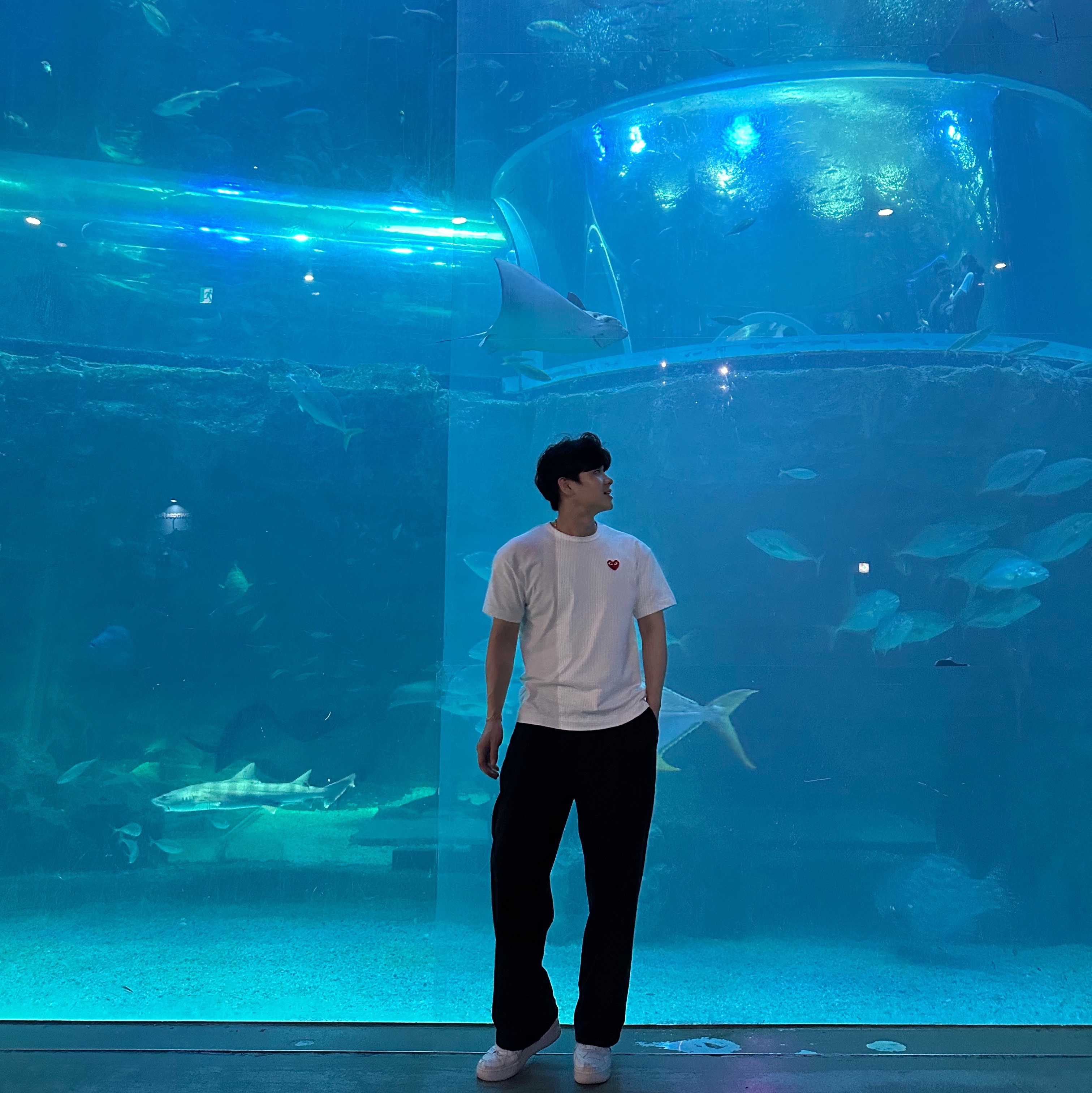 Play Comme des Garcons Red Heart T-Shirt White, Nike x Billie Eilish Air Force 1 Low SP Triple White 착용 스타일