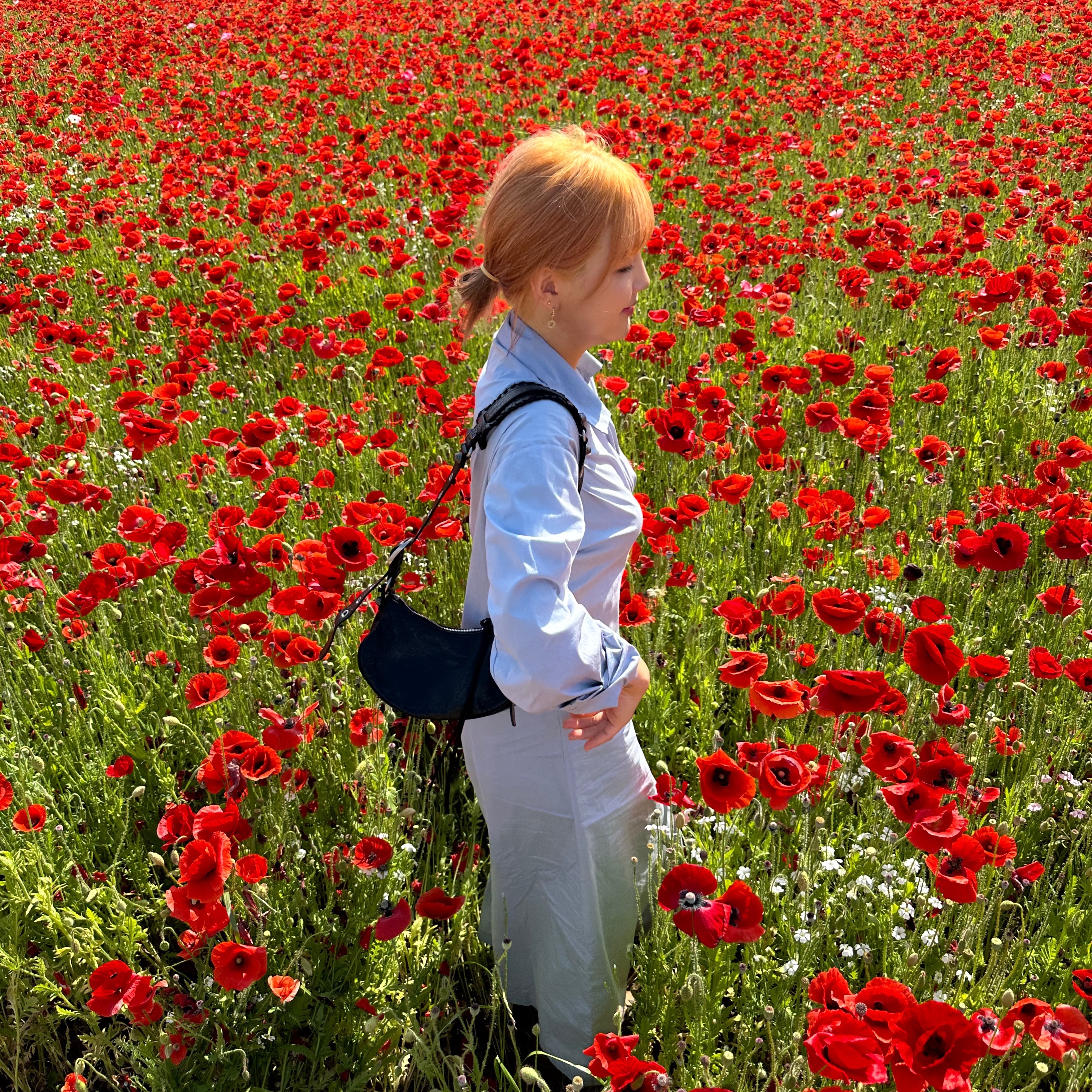 Balenciaga Arena Lambskin Le Cagole XS Shoulder Bag Black 착용 스타일