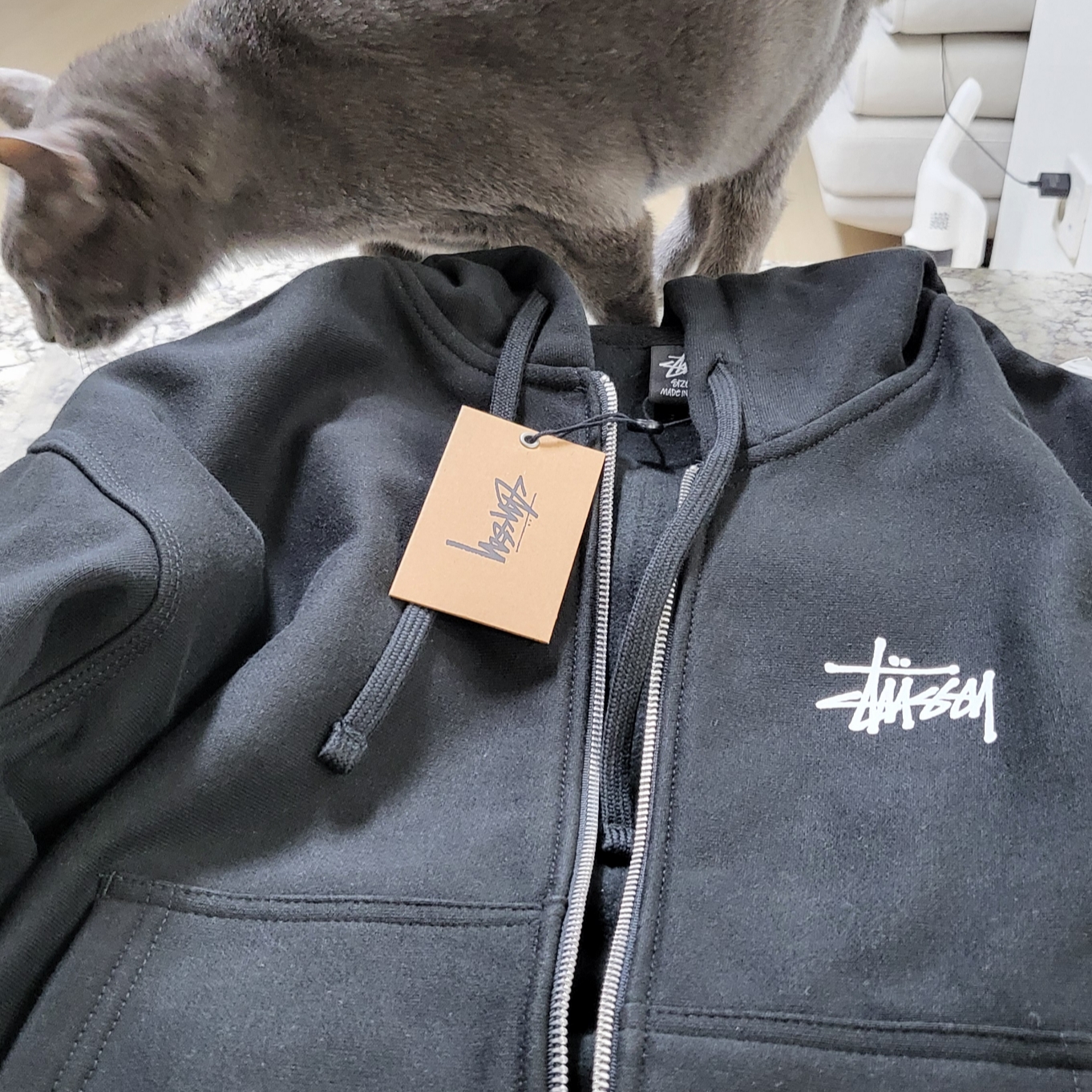 Stussy Basic Zip Hoodie Black 착용 스타일