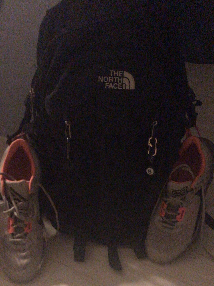 The North Face Big Shot Black, Nike Giannis Immortality 2 Cobblestone 착용 스타일