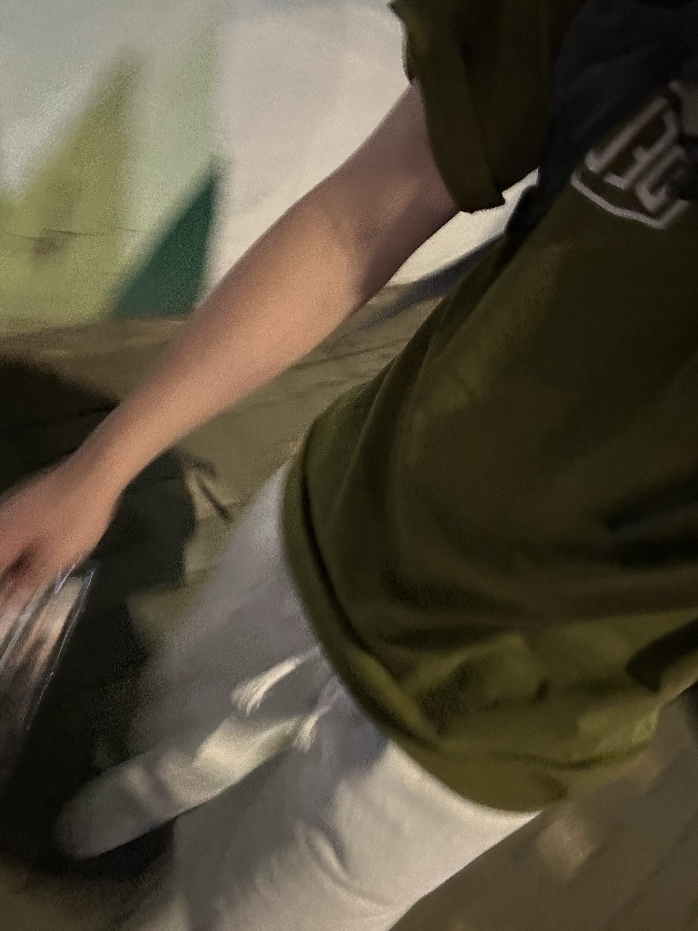 Deus Ex Machina Samcheong College T-Shirt Rover Green 착용 스타일