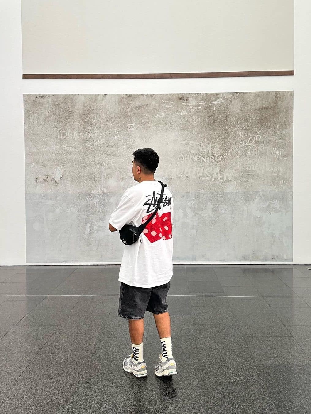 Stussy Basic Stussy T-Shirt White, Stussy Diced Out T-Shirt White 착용 스타일 - 3