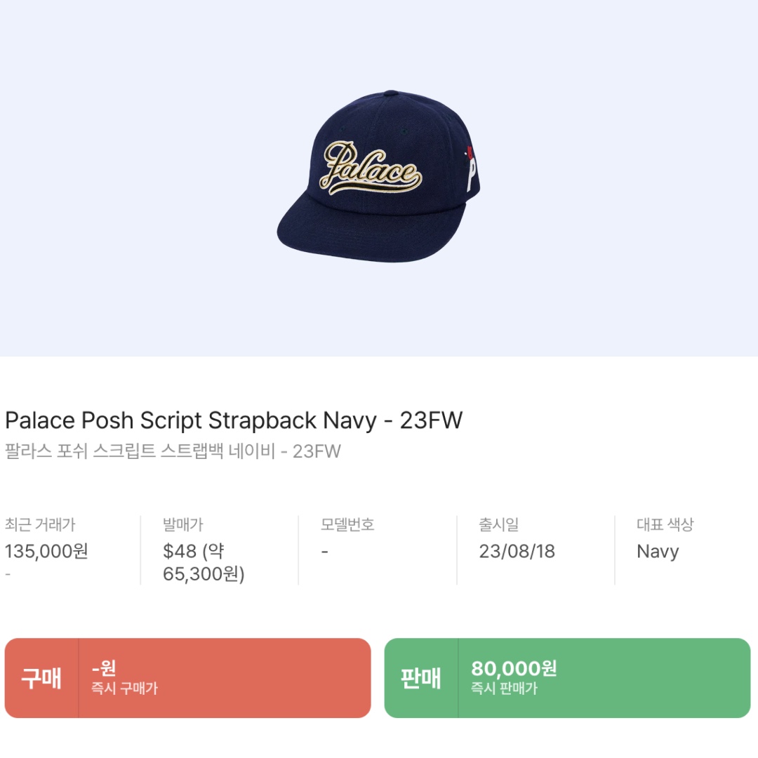Palace Posh Script Strapback Navy - 23FW 착용 스타일 - 2
