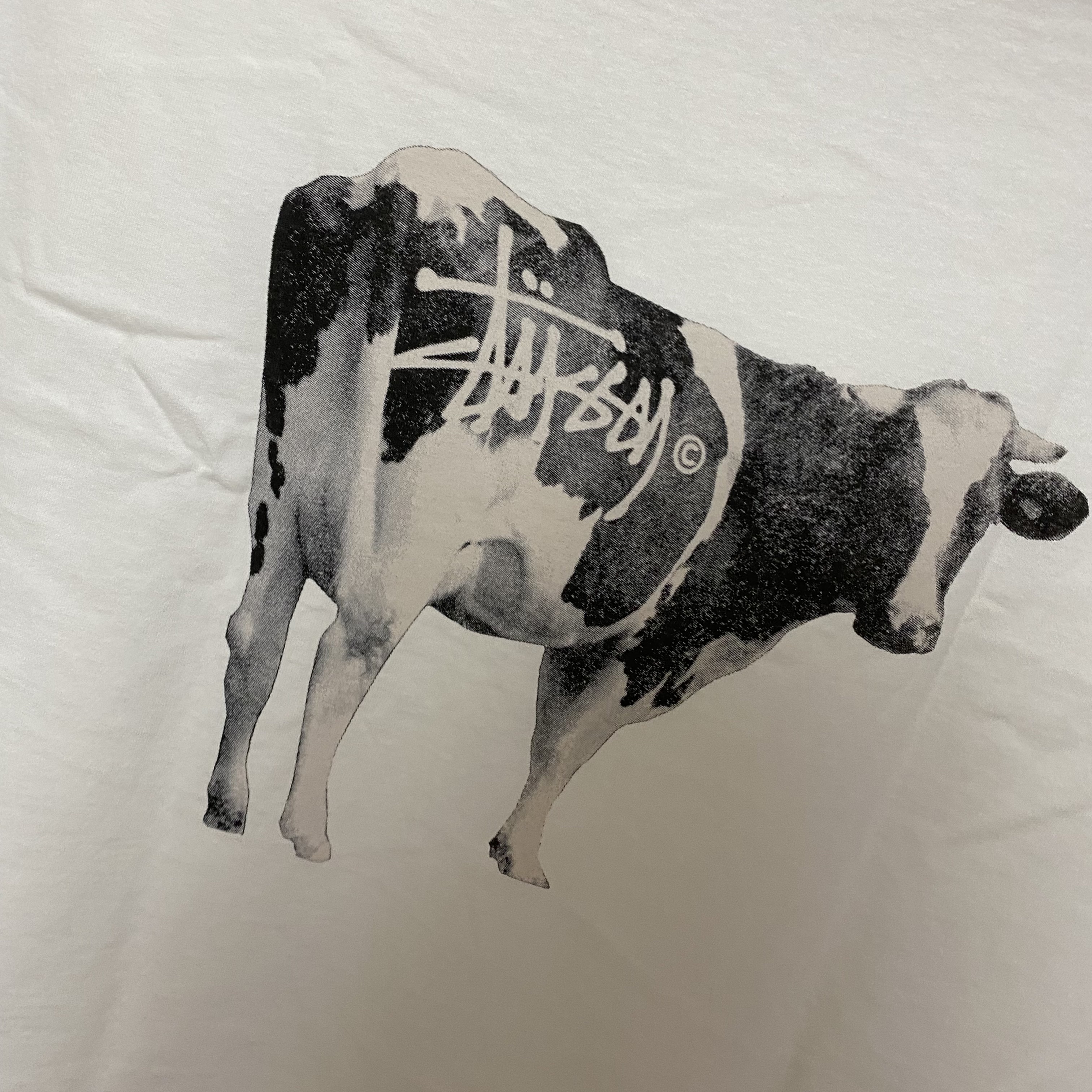 Stussy Grassfed T-Shirt White 착용 스타일