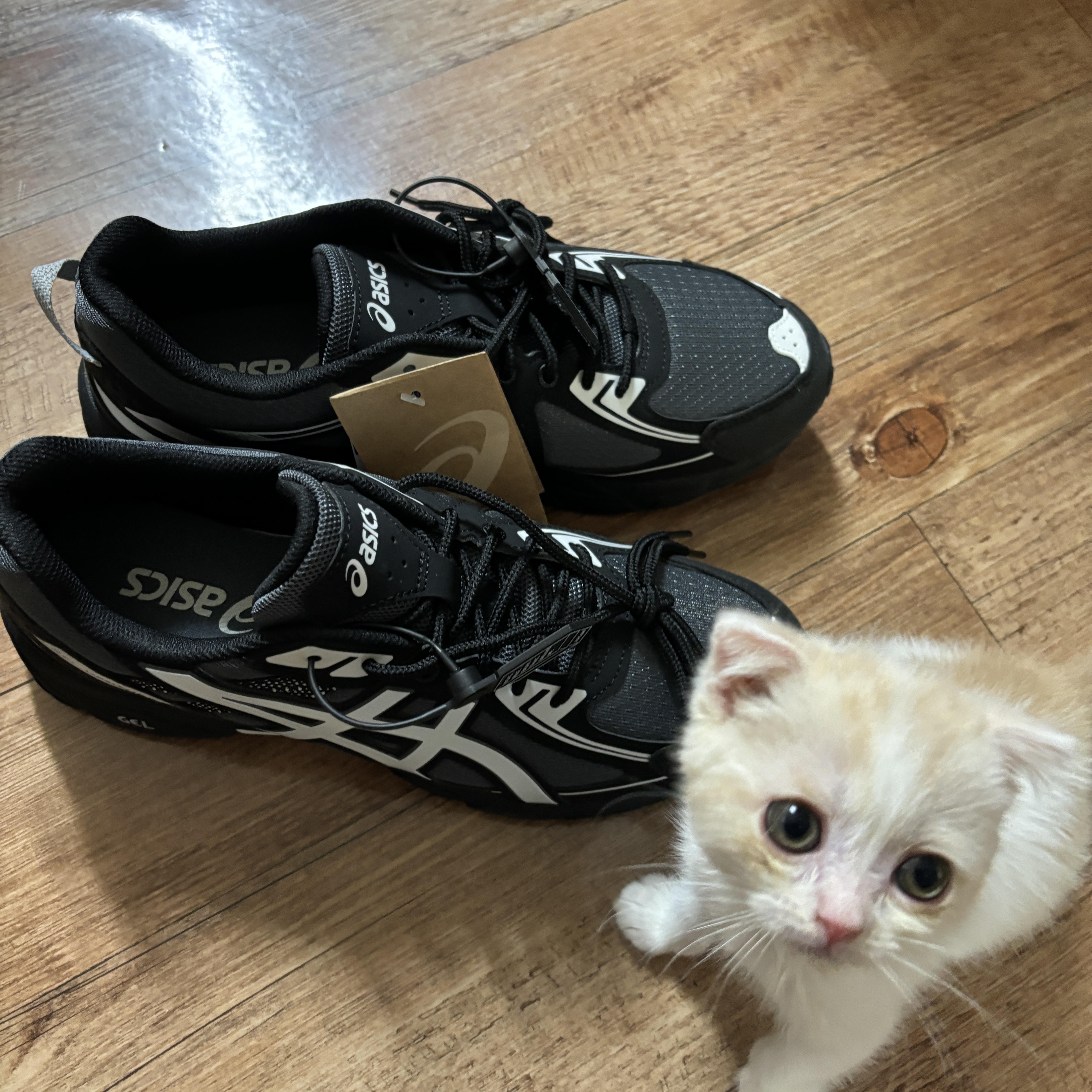 Asics Gel-Venture 6 Carrier Grey 착용 스타일