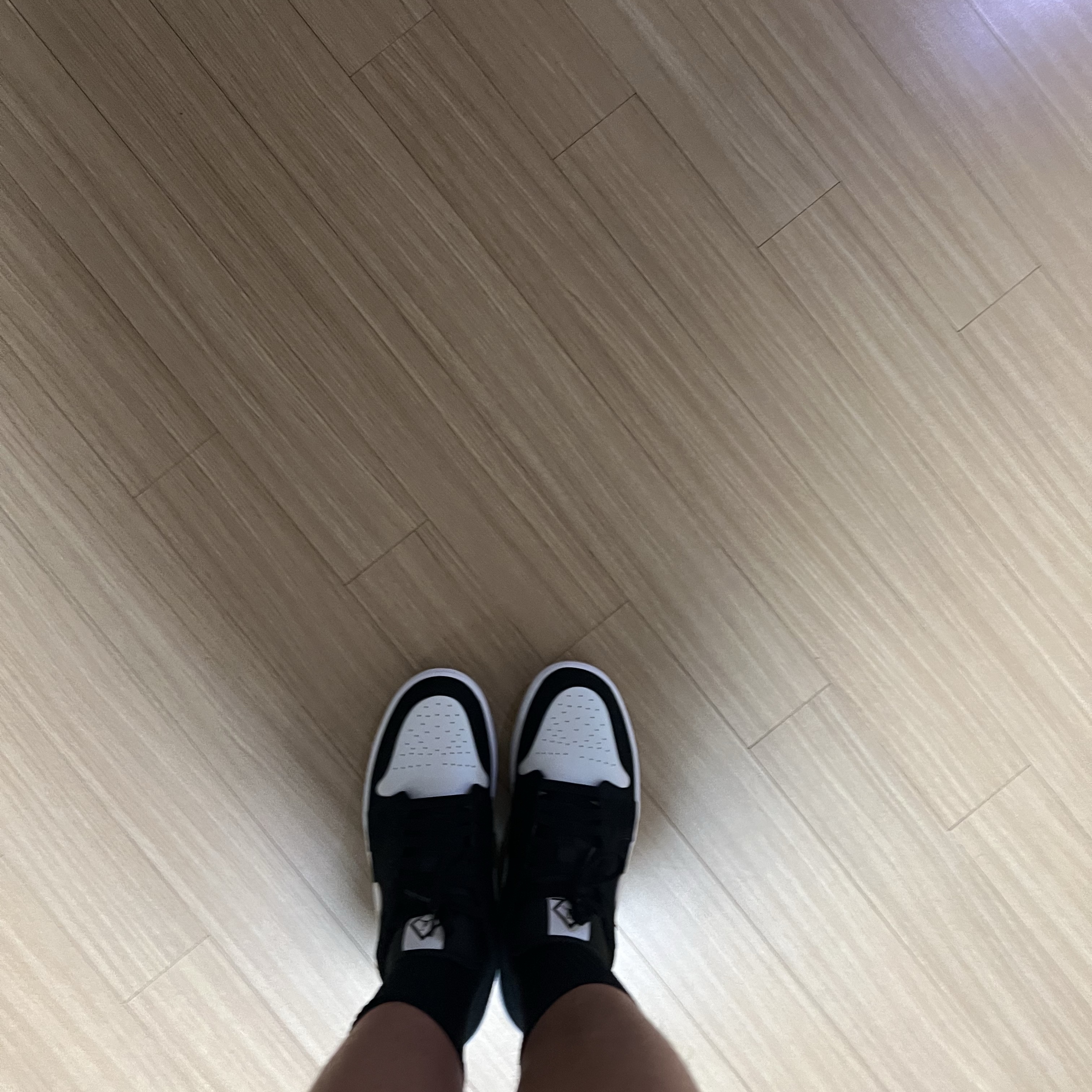Jordan 1 Low SE Diamond 착용 스타일