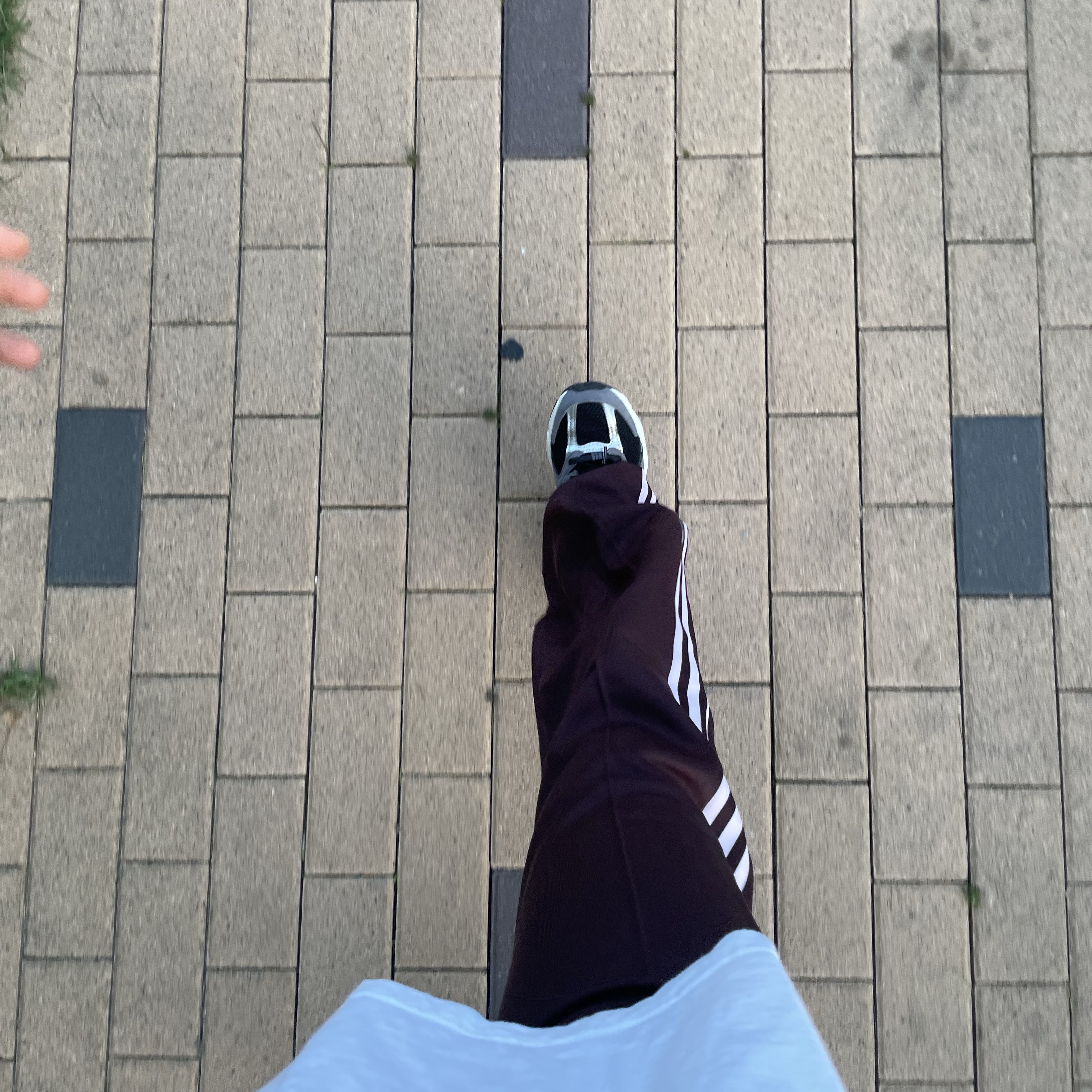 (W) Adidas Originals Beckenbauer Track Pants Shadow Brown - KR Sizing 착용 스타일