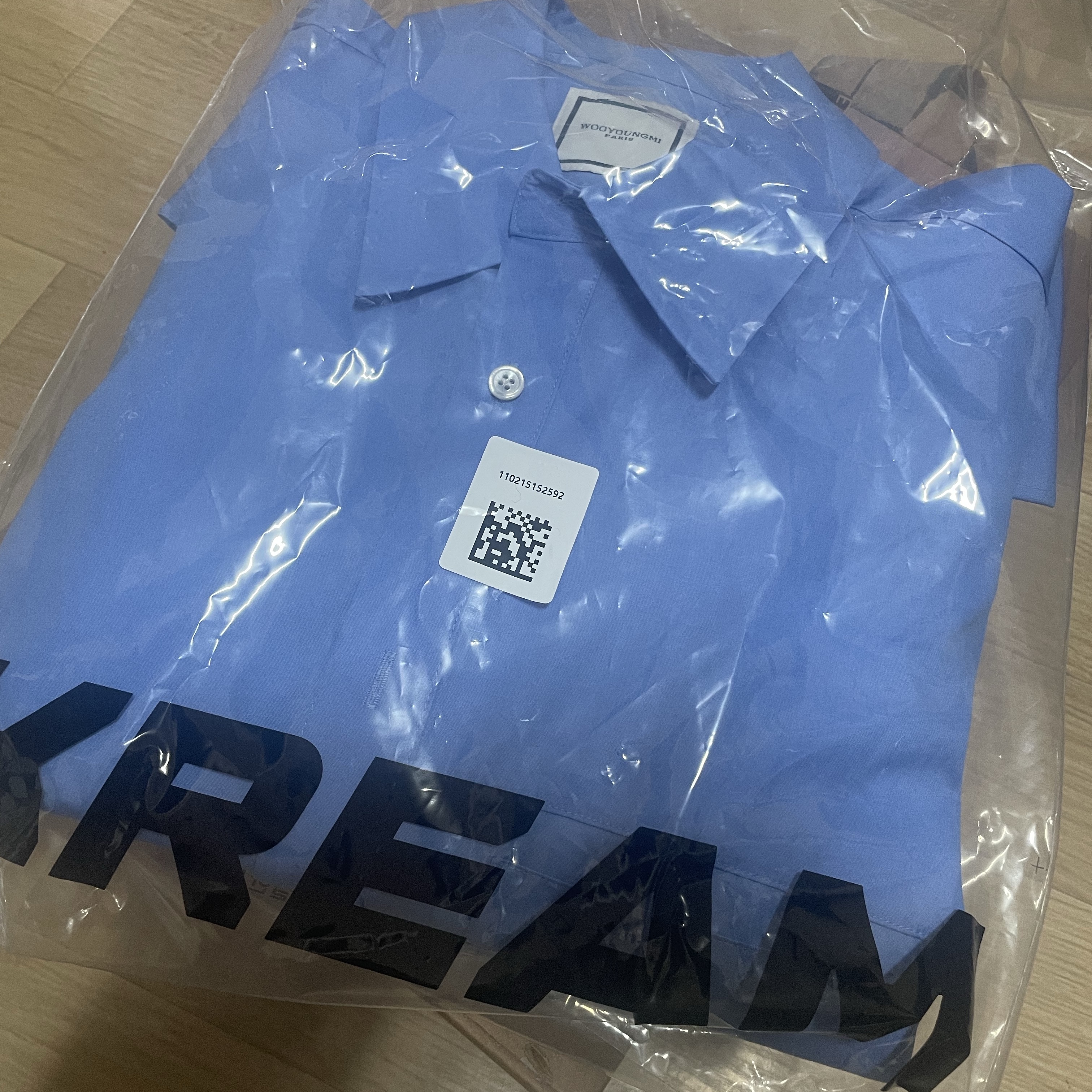 Wooyoungmi Cotton Feather Print Back Logo Shirt Blue - 23SS 착용 스타일