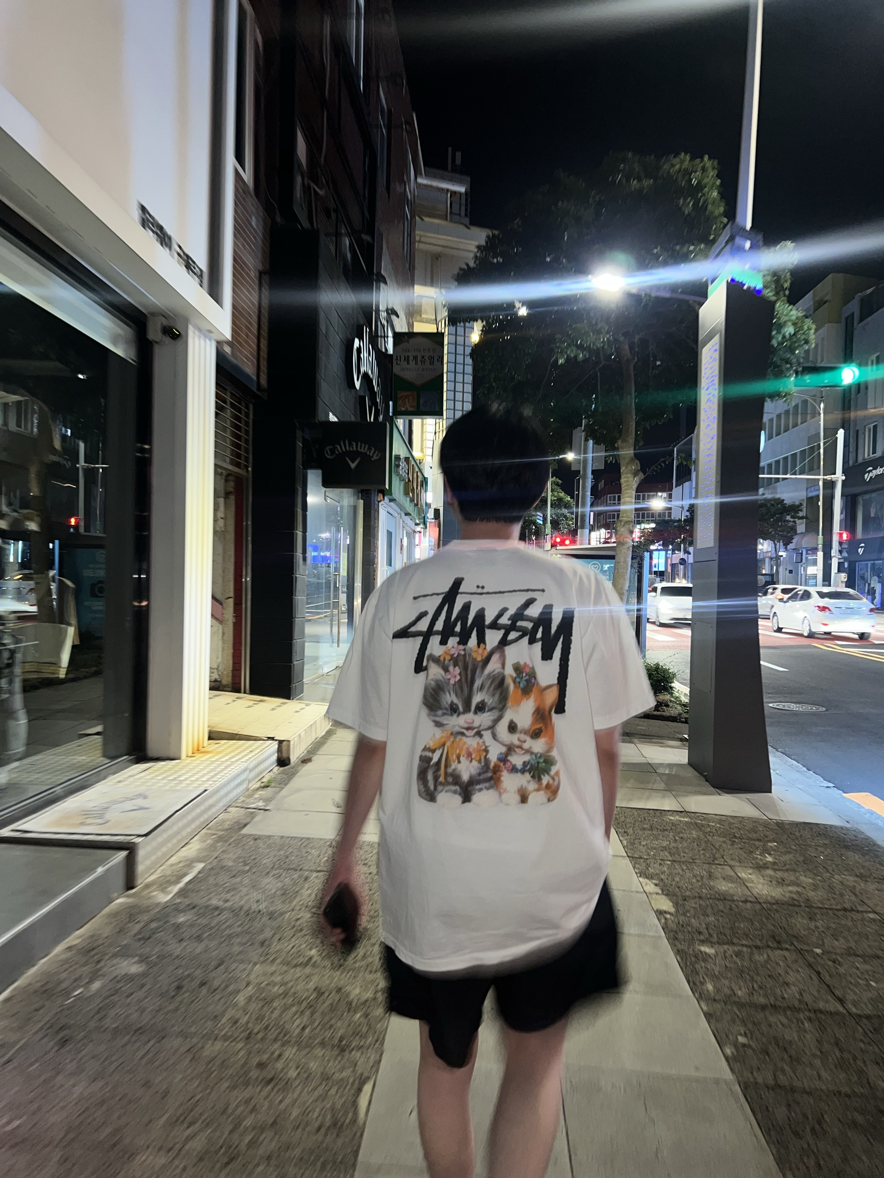 Stussy Kittens T-Shirt White 착용 스타일 - 1