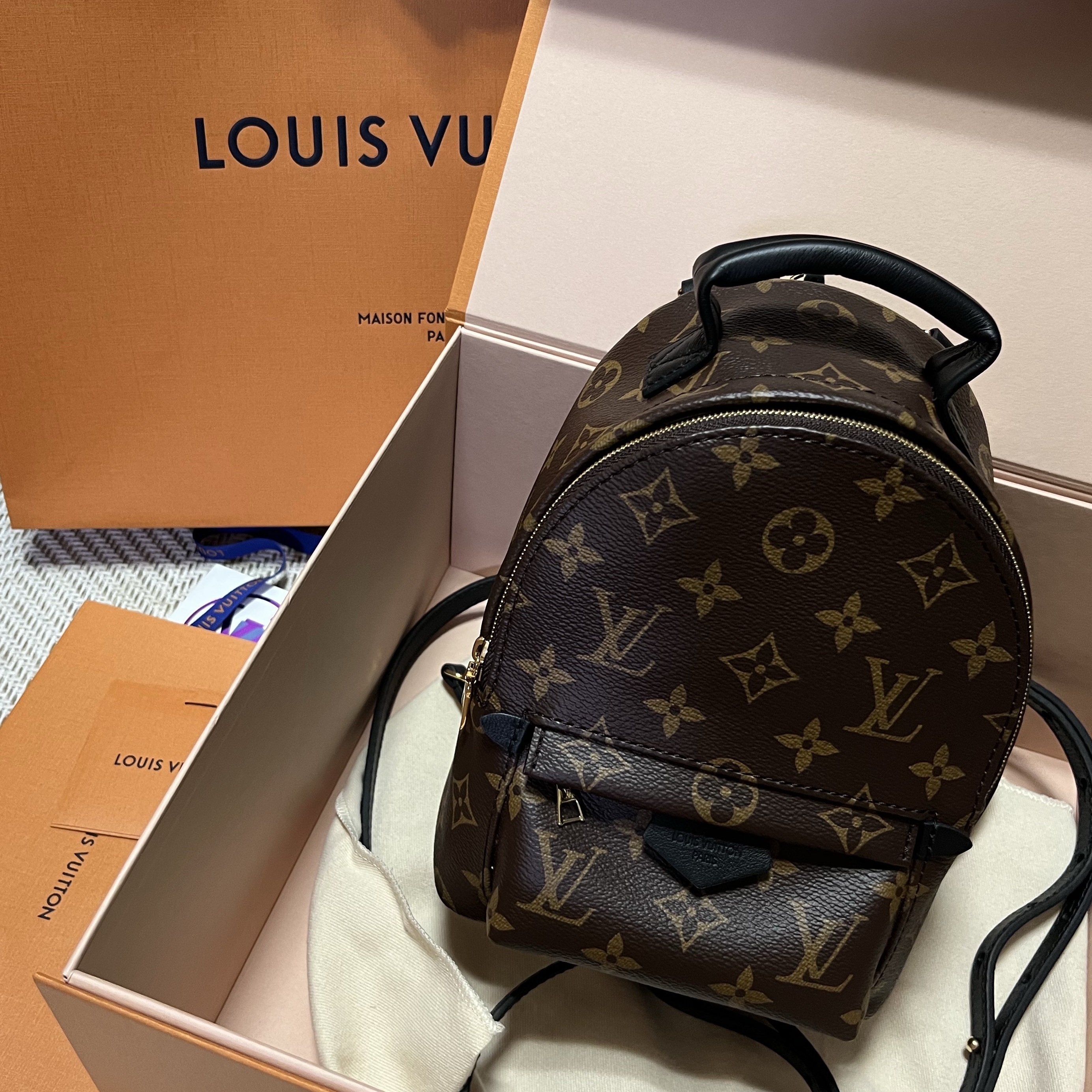 Louis Vuitton Palm Springs Mini Backpack Monogram 착용 스타일