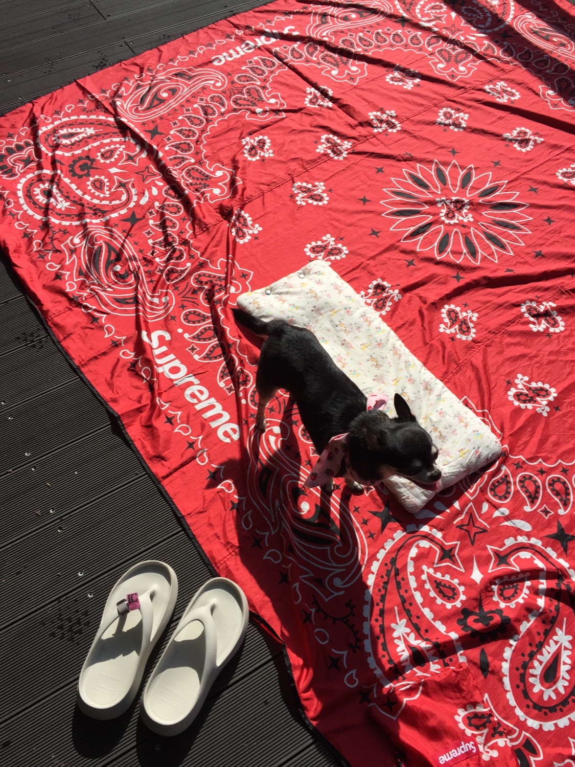Supreme ENO Islander Nylon Blanket Red - 22SS, Taw&Toe x Low Classic Platform Flip Flop Cream 착용 스타일
