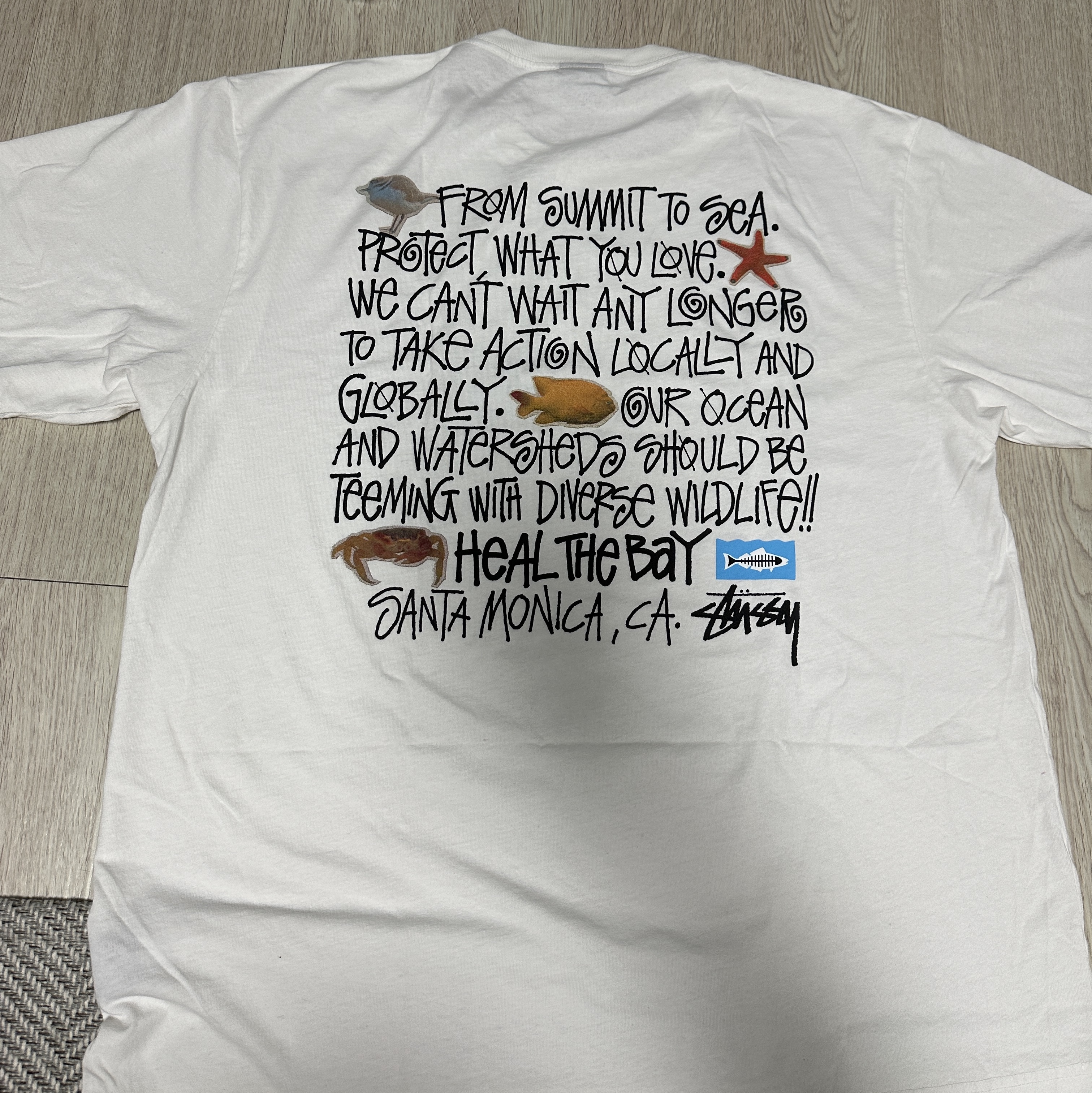 Stussy x Heal The Bay Summit To Sea Pigment Dyed T-Shirt Natural 착용 스타일