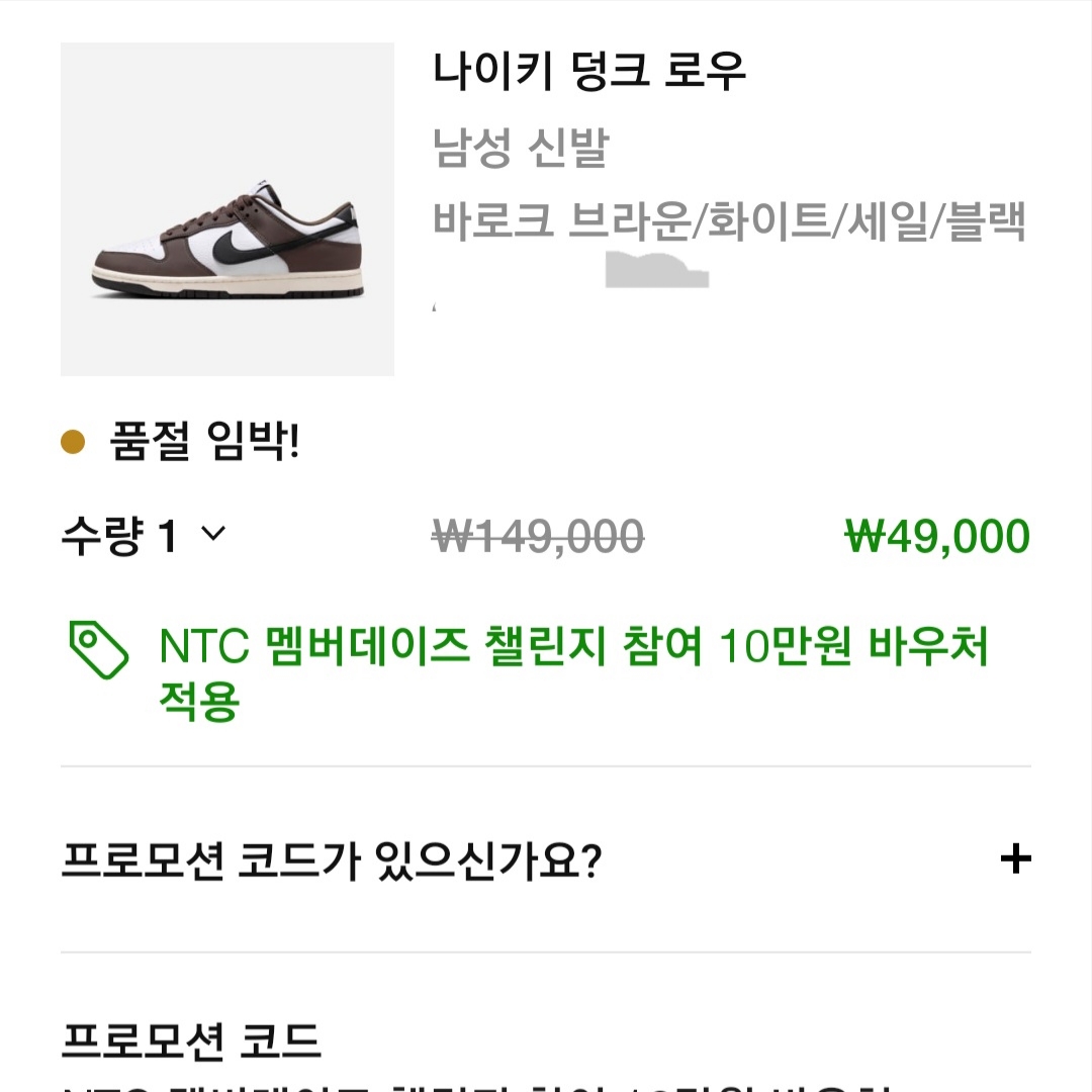 Nike Dunk Low Retro Next Nature Baroque Brown White 착용 스타일 - 2