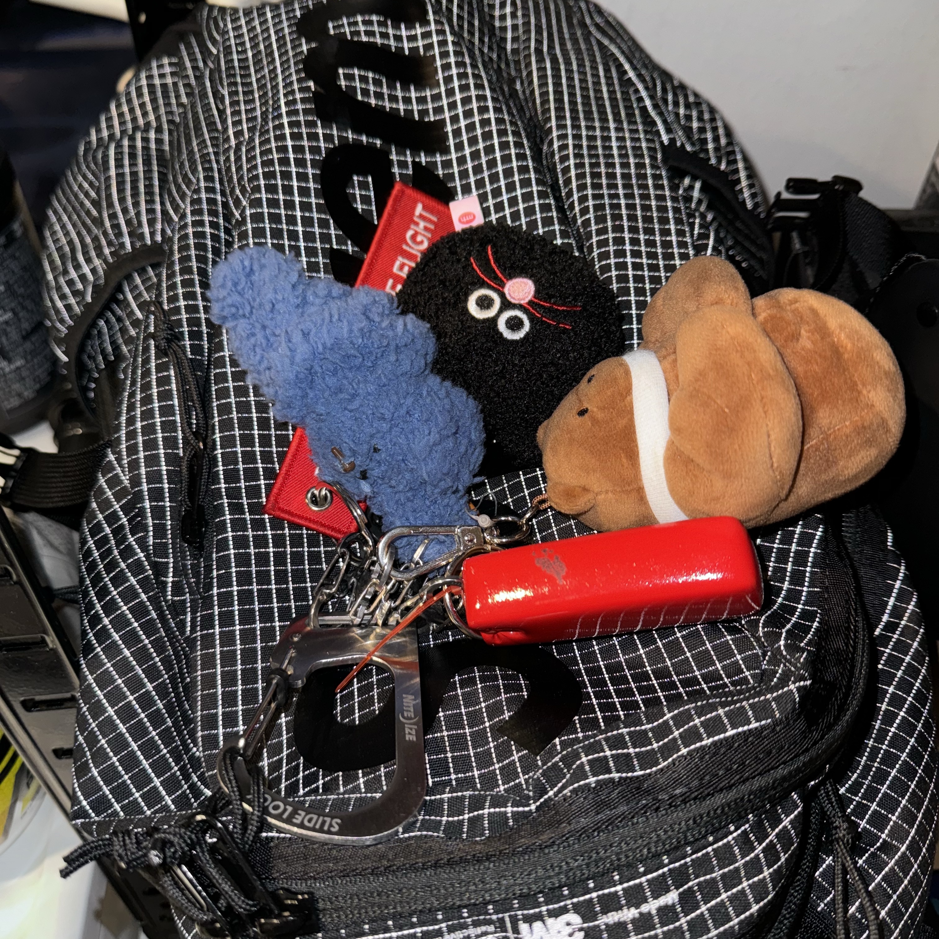 Supreme Backpack Black - 24SS 착용 스타일 - 2