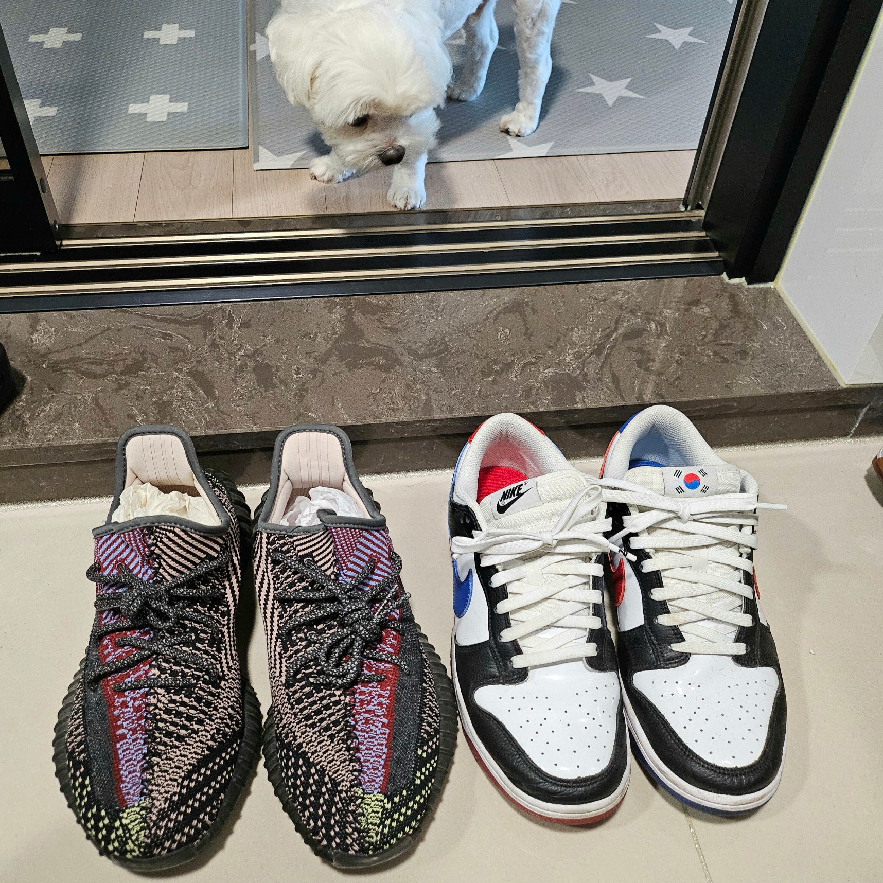 Nike Dunk Low SE Seoul, Adidas Yeezy Boost 350 V2 Yecheil - Non-Reflective 착용 스타일 - 1