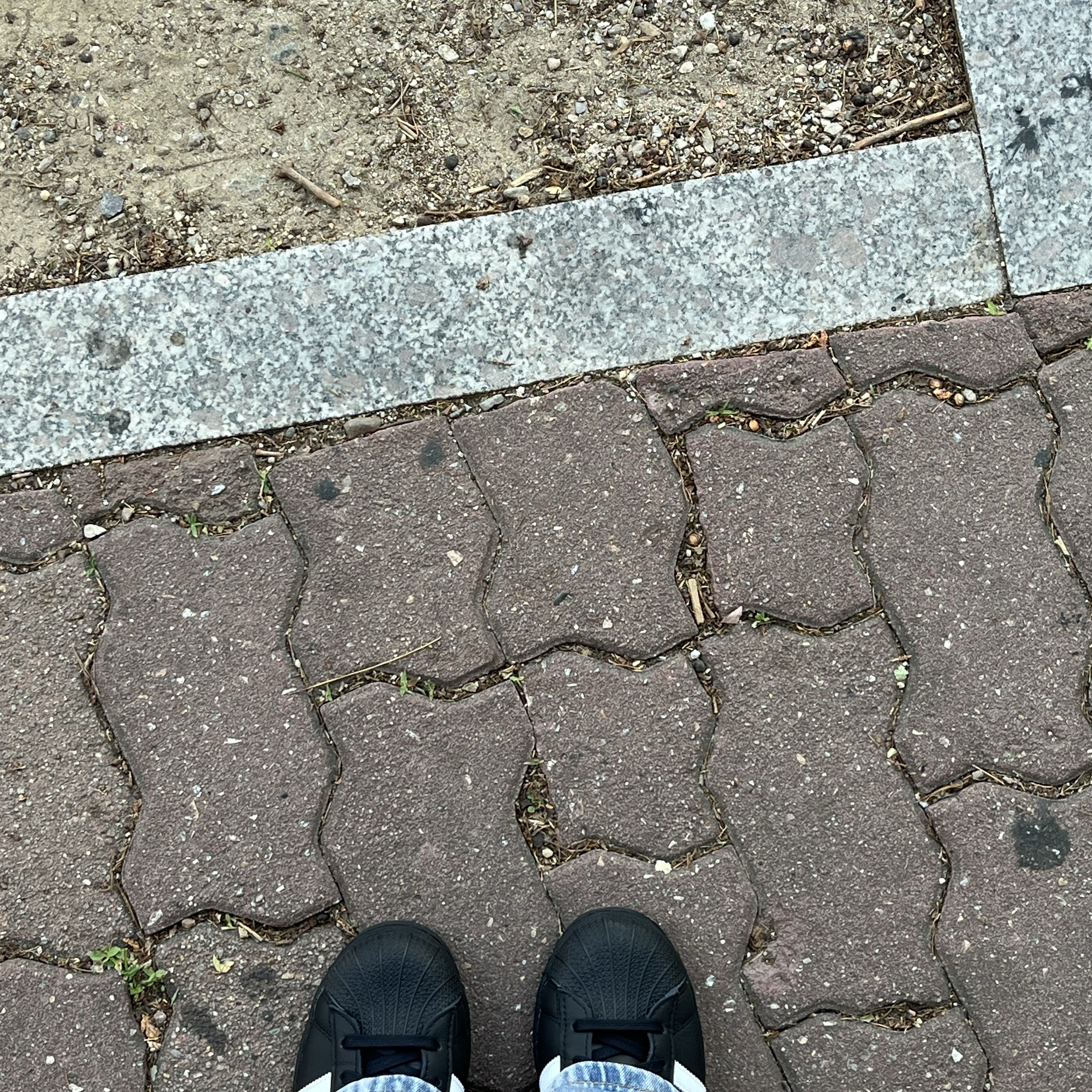 (J) Adidas Superstar Black White 착용 스타일