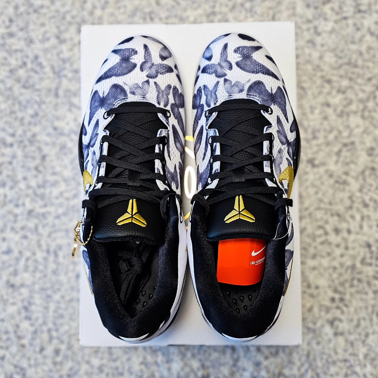 Nike Kobe 8 Protro Mambacita 착용 스타일 - 3