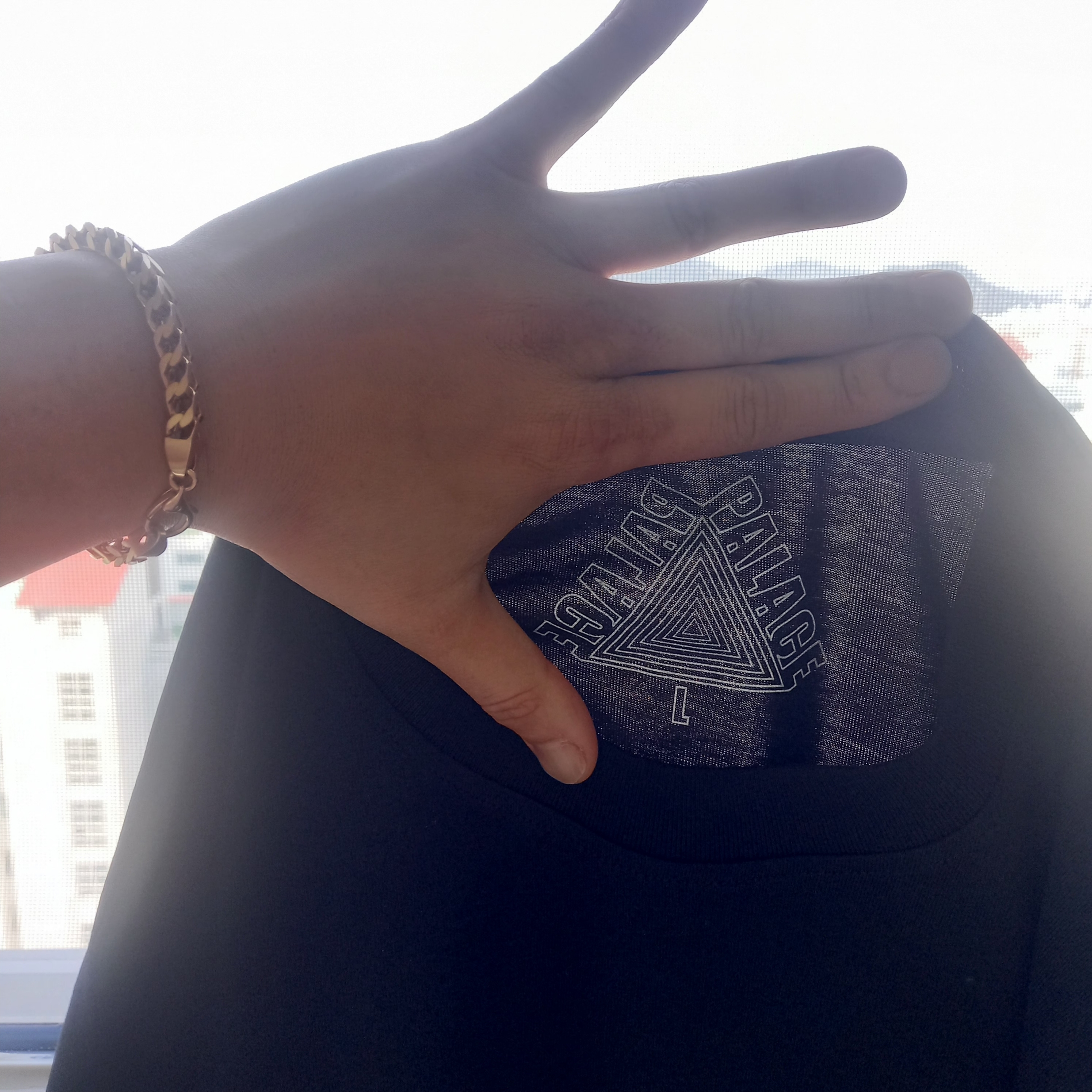 Palace Tri-OG T-Shirt Black - 24SS 착용 스타일 - 3
