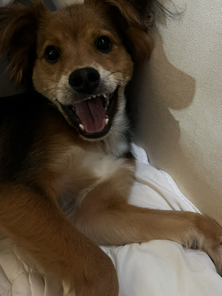 관심 유저 프로필 이미지