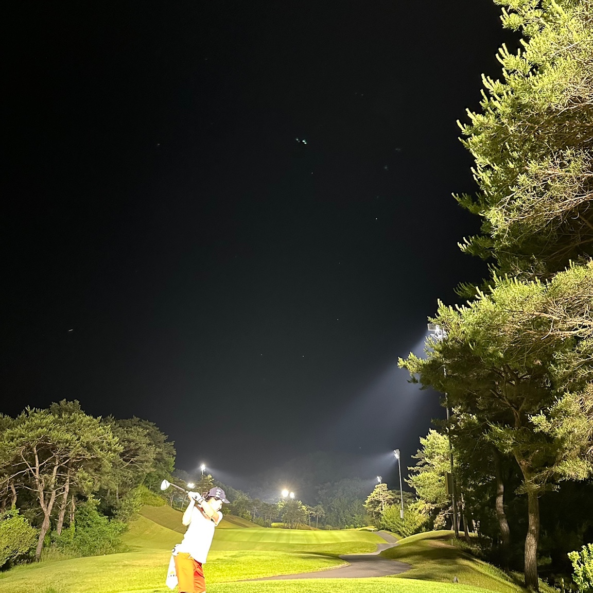 Jordan 1 Low Golf Midnight Navy 착용 스타일