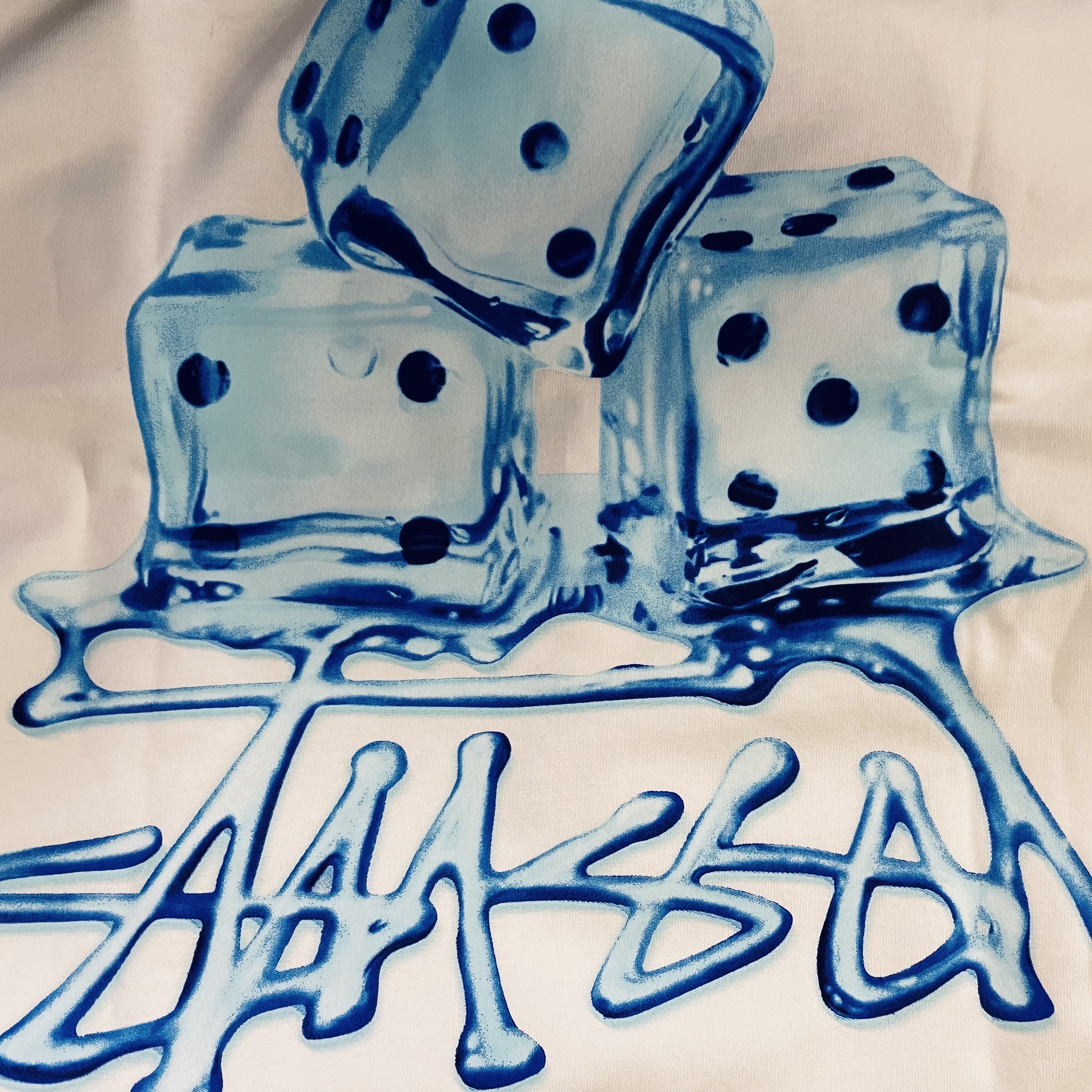 Stussy Melted T-Shirt White 착용 스타일 - 2