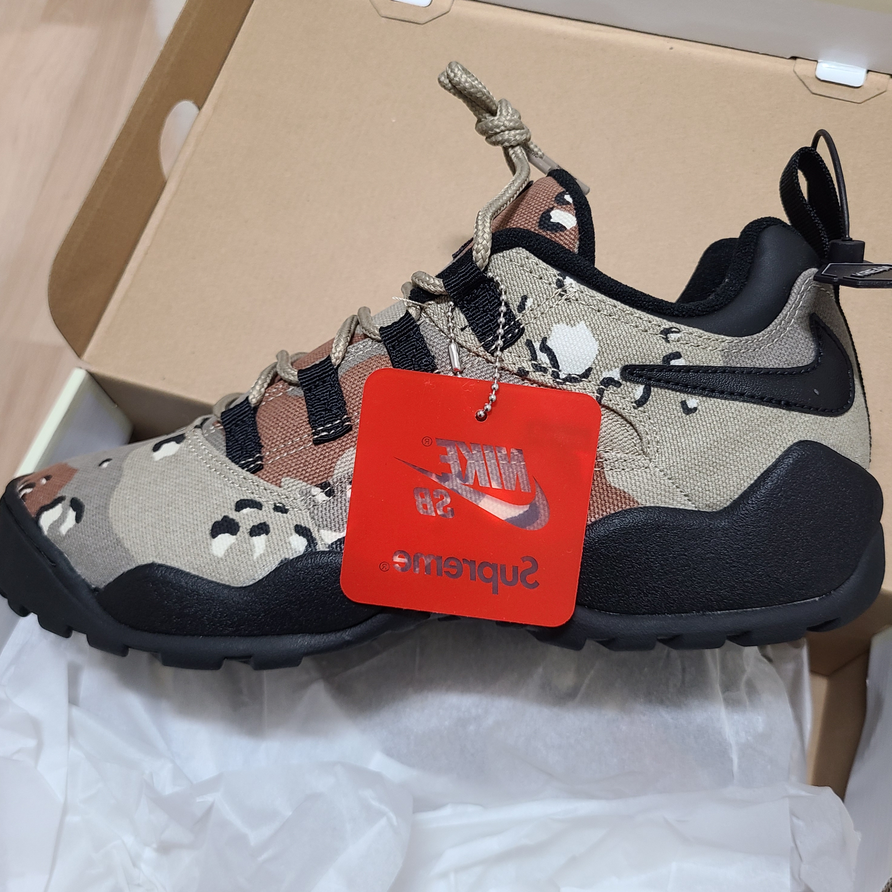 Nike x Supreme SB Darwin Low Desert Camo 착용 스타일