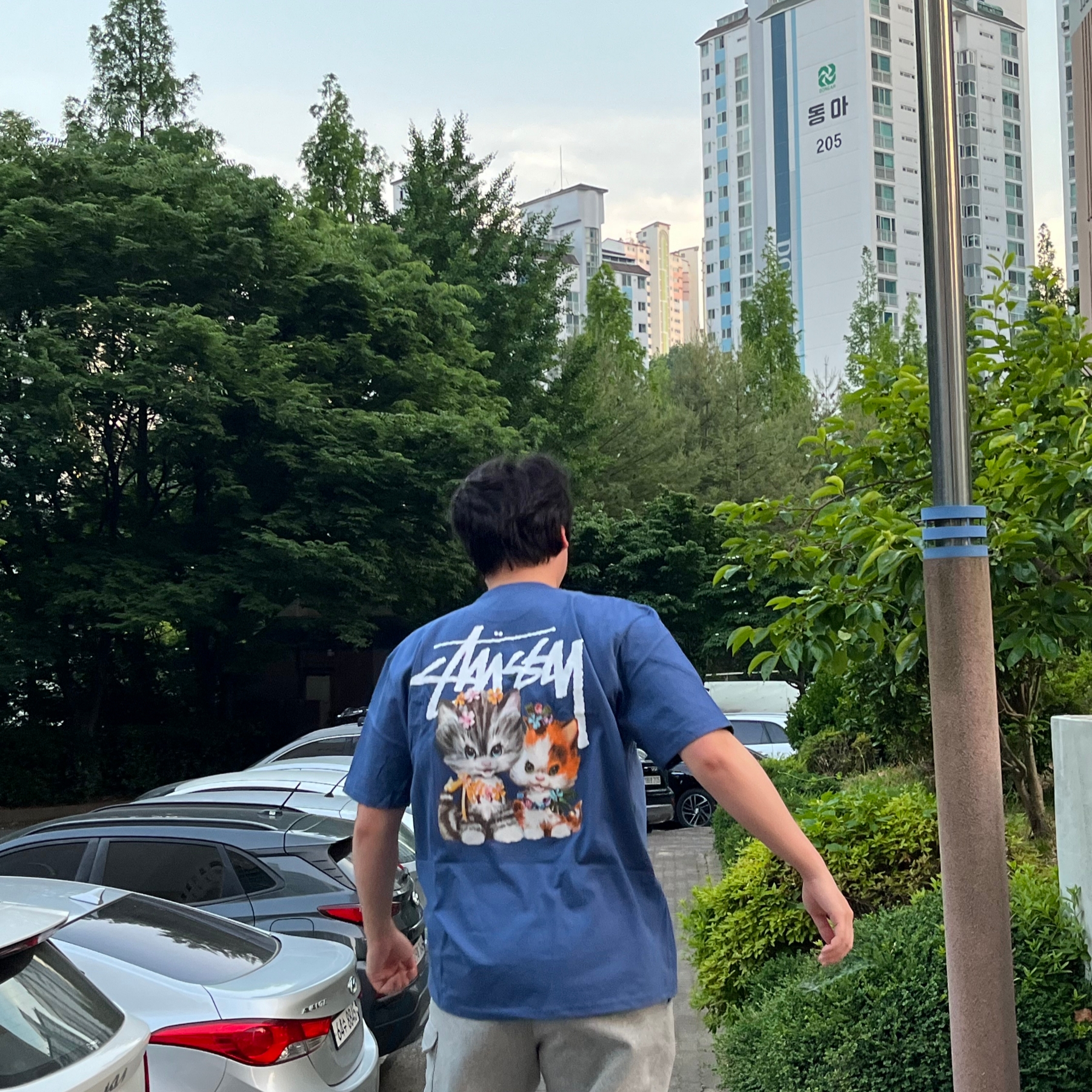 Stussy Kittens T-Shirt Midnight, Nike NSW Club Cargo Shorts Grey - Asia 착용 스타일