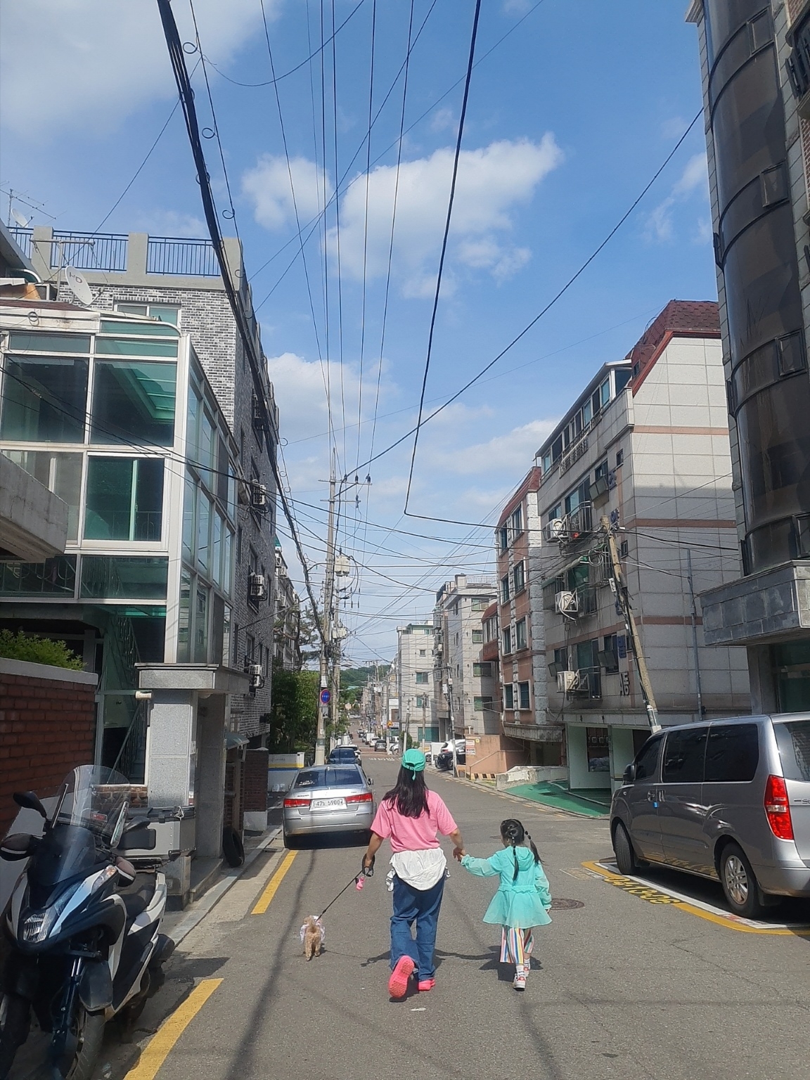 3149834님의 스타일 - 2