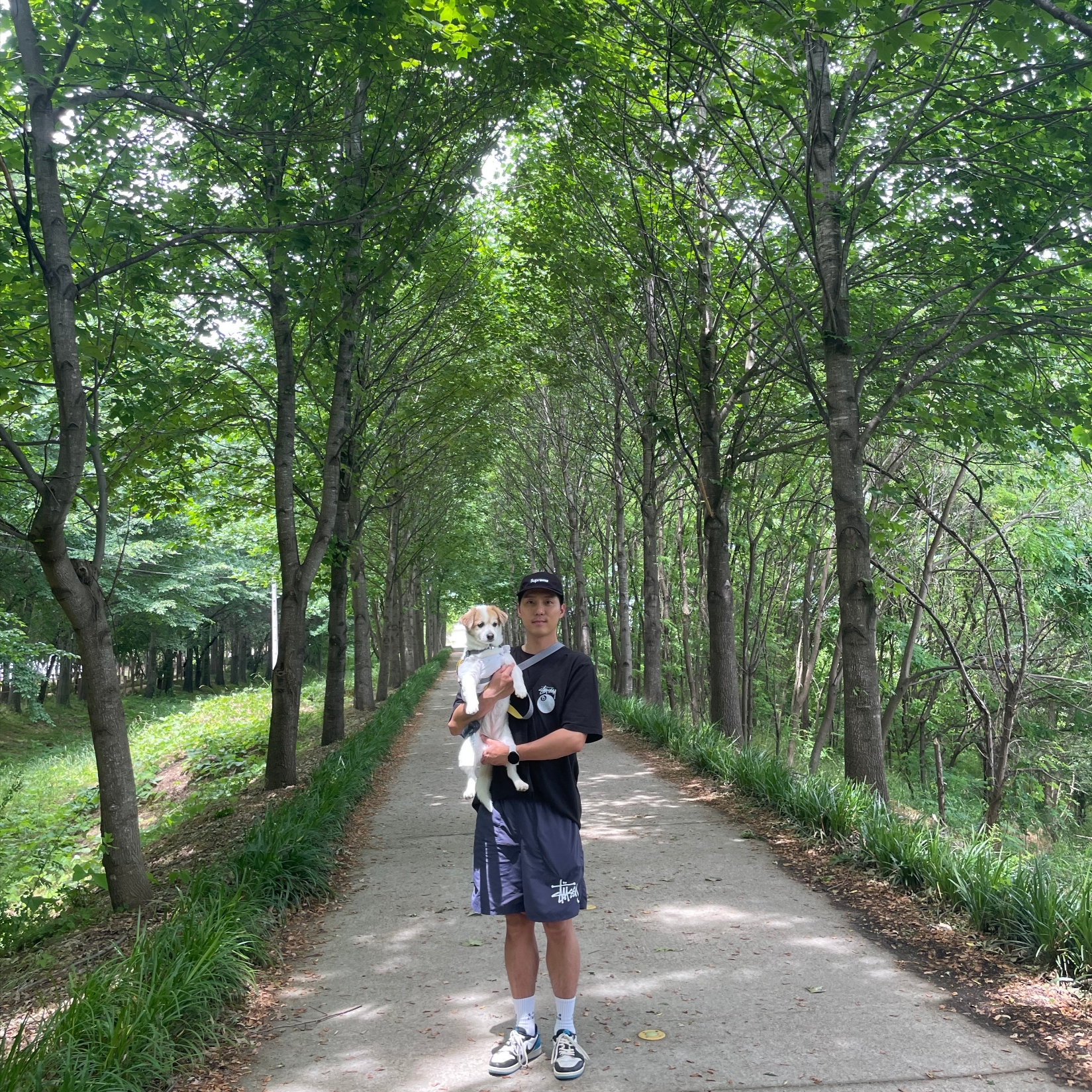 Stussy Big Basic Water Shorts Gravestone, Supreme Washed Chino Twill Camp Cap Black 착용 스타일