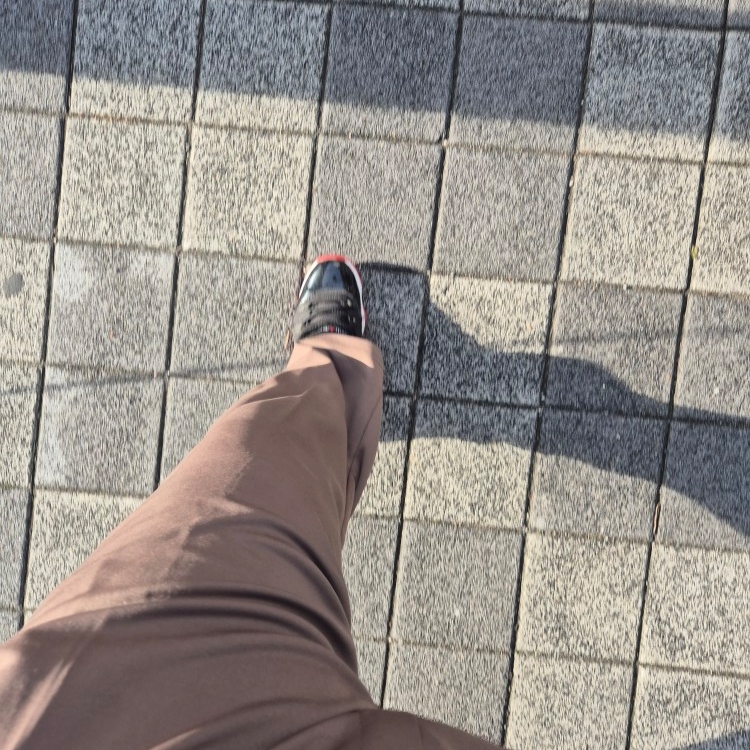 Jordan 11 Retro Low Bred 착용 스타일