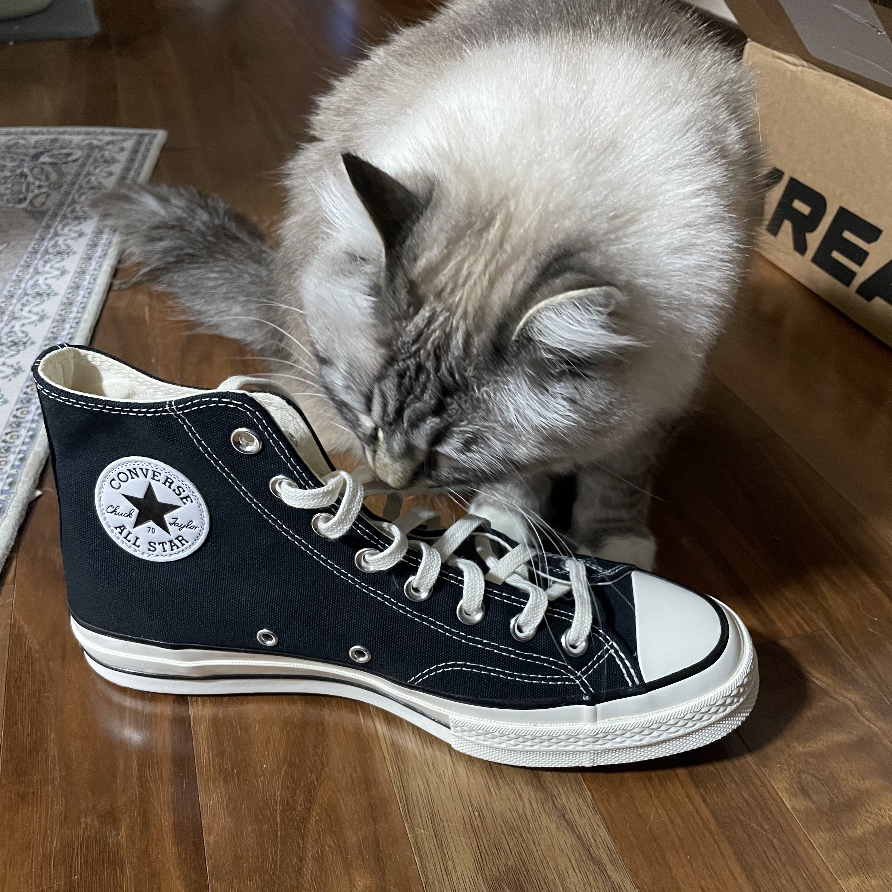 Converse Chuck 70 Hi Black 착용 스타일 - 1