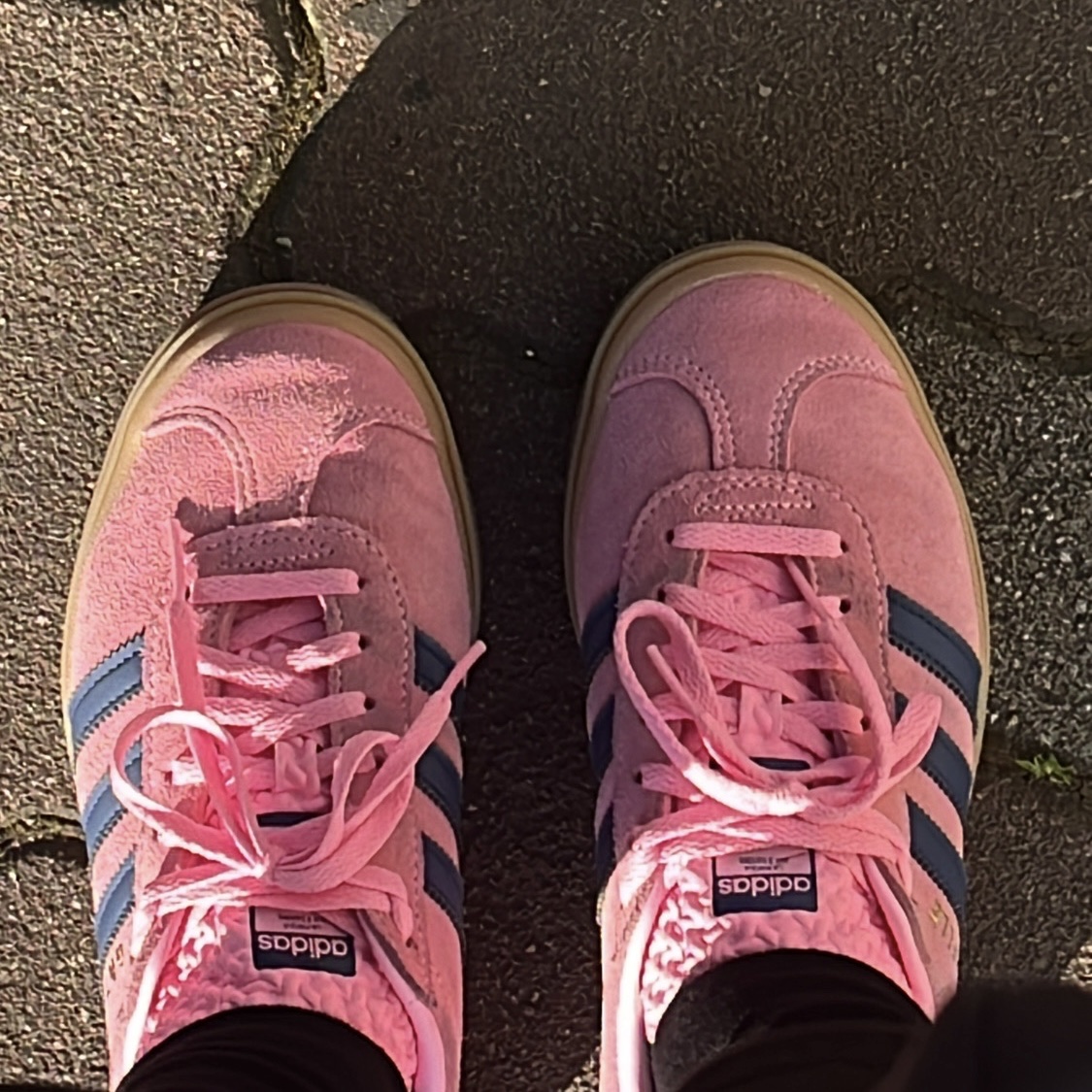 (W) Adidas Gazelle Bold Pink Glow Victory Blue 착용 스타일
