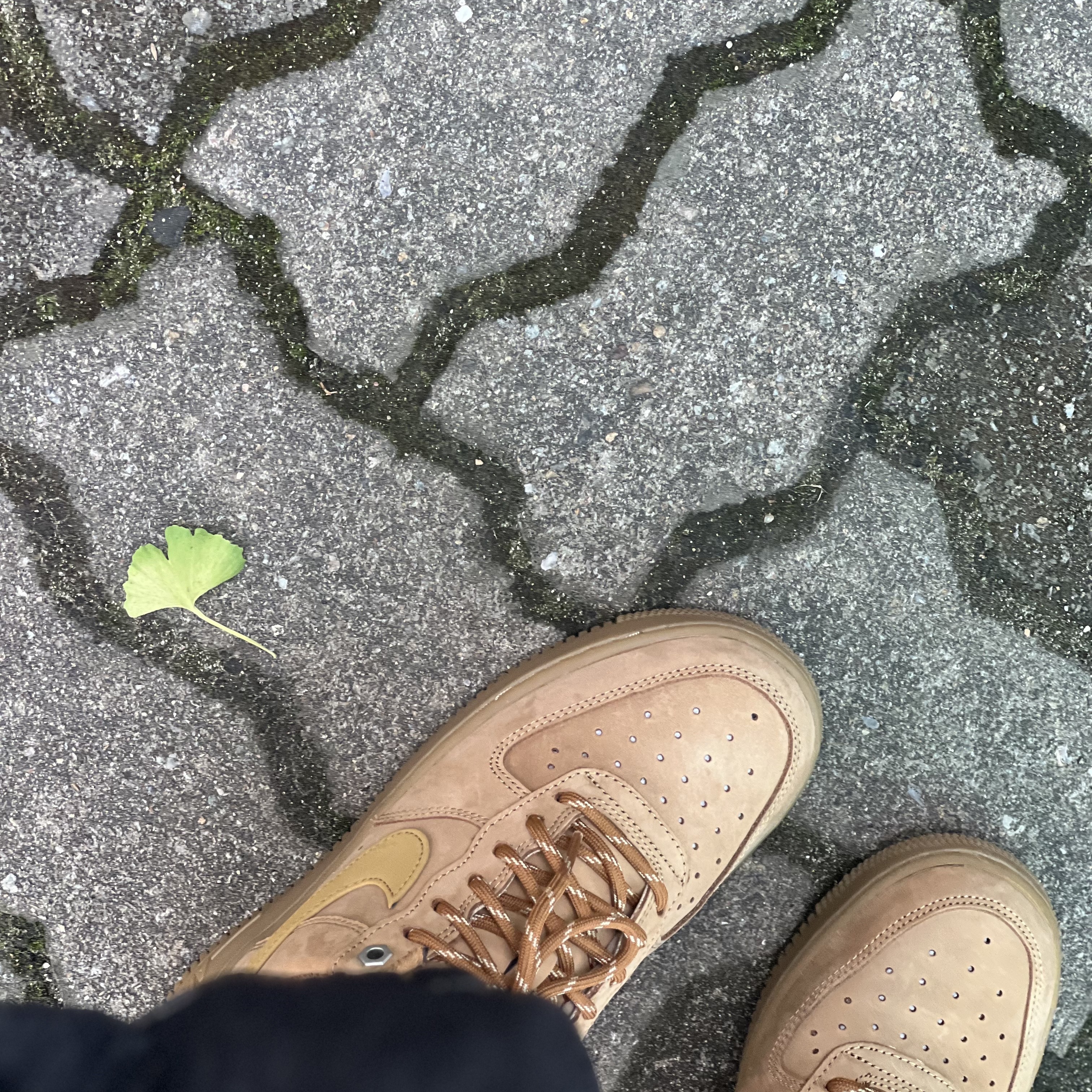 (W) Nike Air Force 1 '07 WB Flax Wheat 착용 스타일