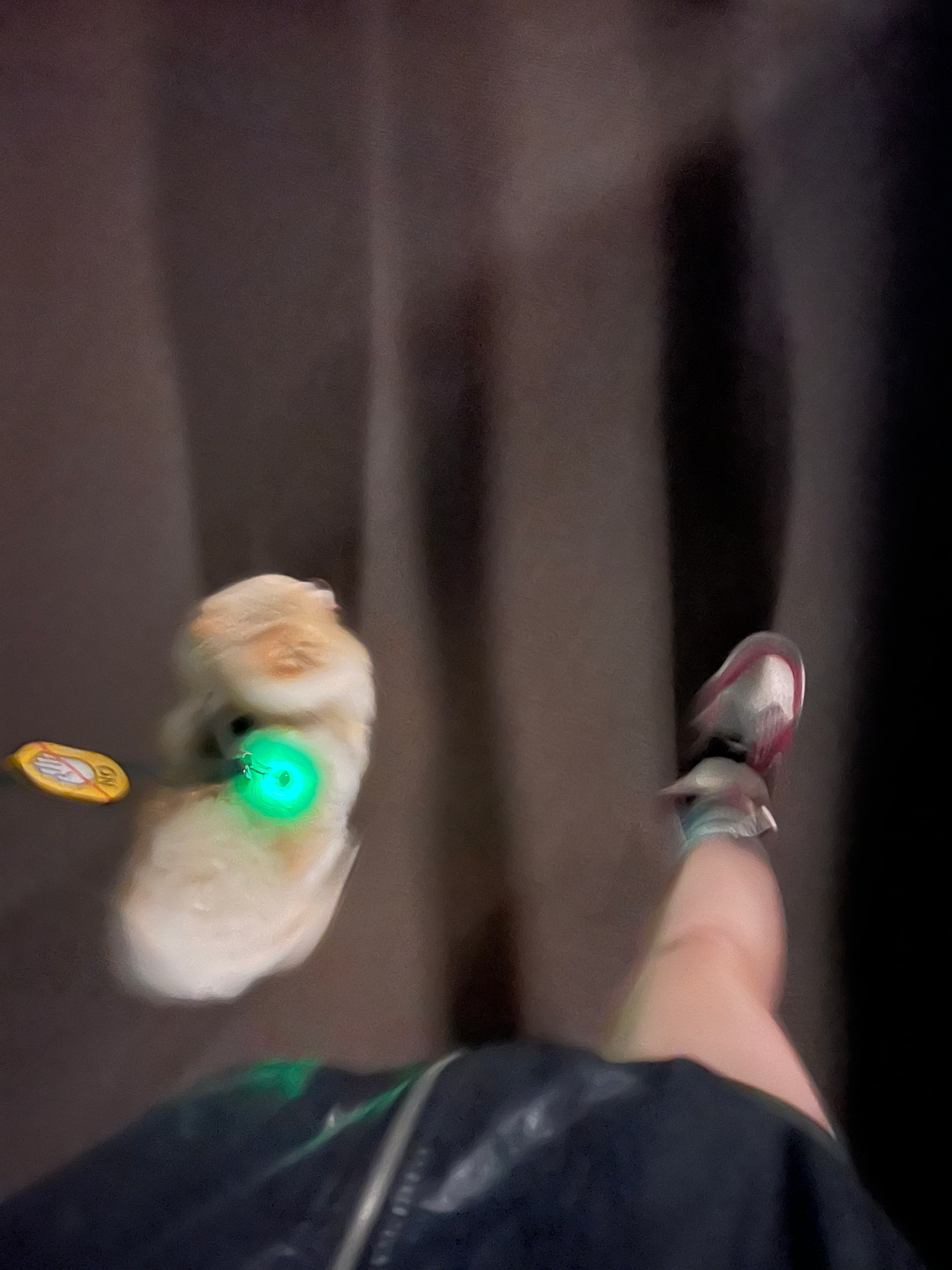 IAB Studio Ripstop Shorts Deep Green, Jordan 1 Retro High OG Chicago 2022 착용 스타일